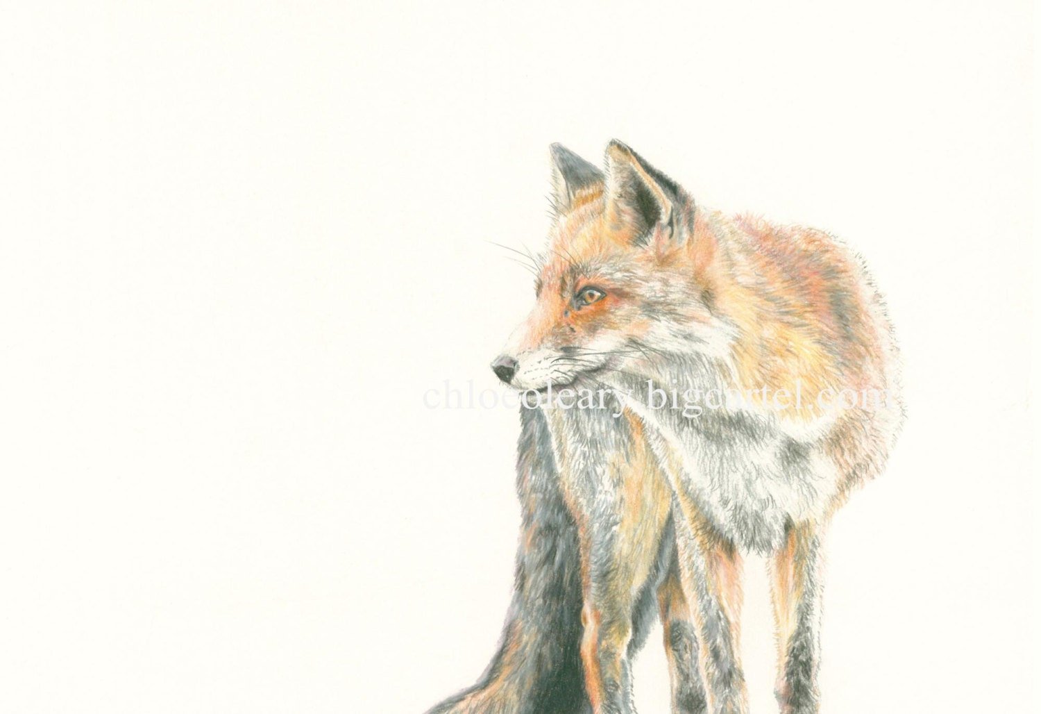 Fantastic Fox Print