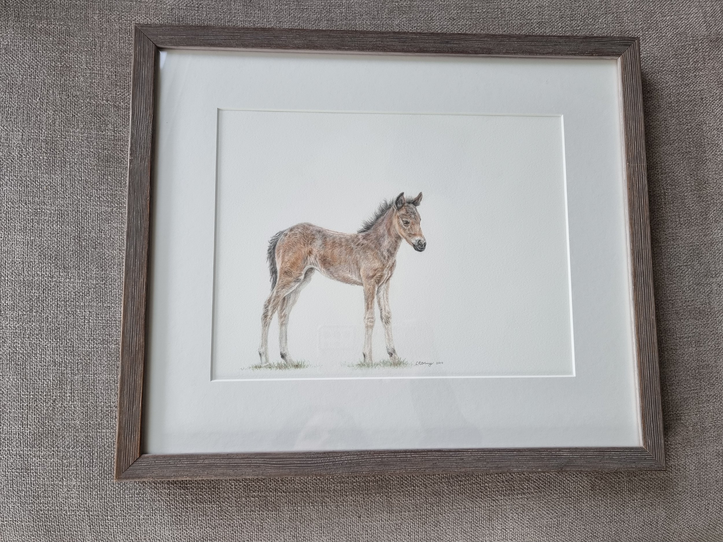 Wild Pony Foal - Original