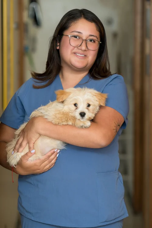 Team headshot of a vet clinic team member holding a puppy in Berkeley