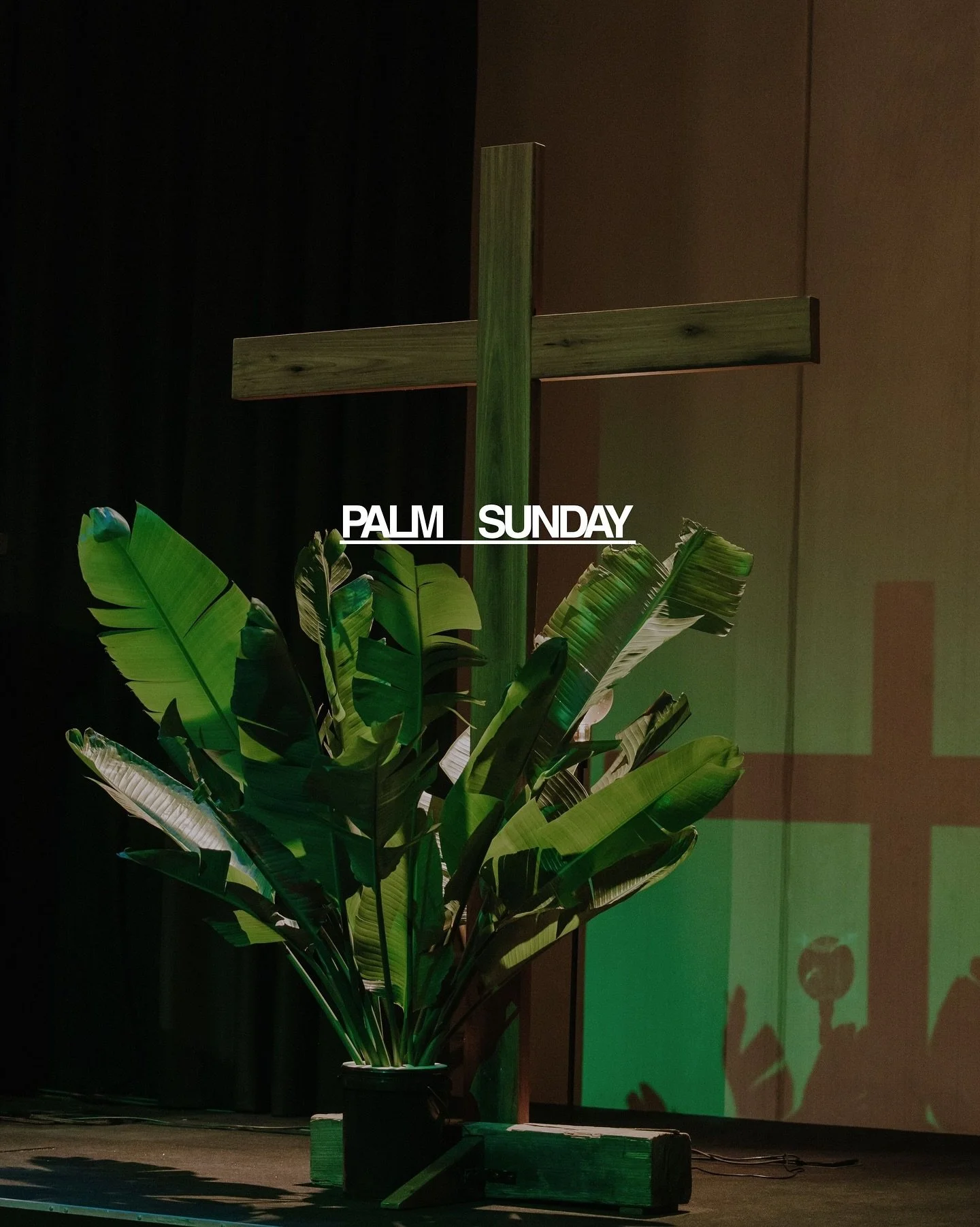 Hosanna in the highest 🌿✨

&ldquo;Blessed is He who comes in the name of the Lord!&rdquo; (Matthew 21:9)

Today we remember Jesus&rsquo; humble entry into Jerusalem&mdash;welcomed with palm branches, praise, and expectation. A King who came not in p