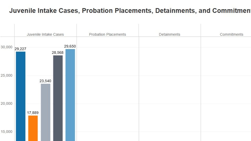 Virginia Department of Juvenile Justice (DJJ)