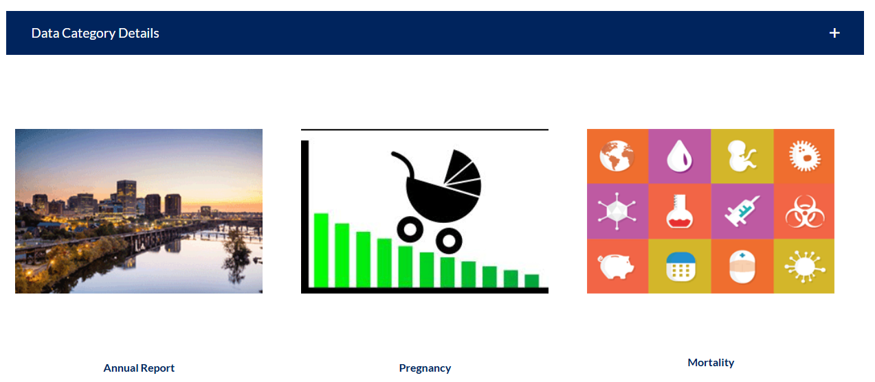 Virginia Vital Events and Screening Tracking System (VVESTS) 