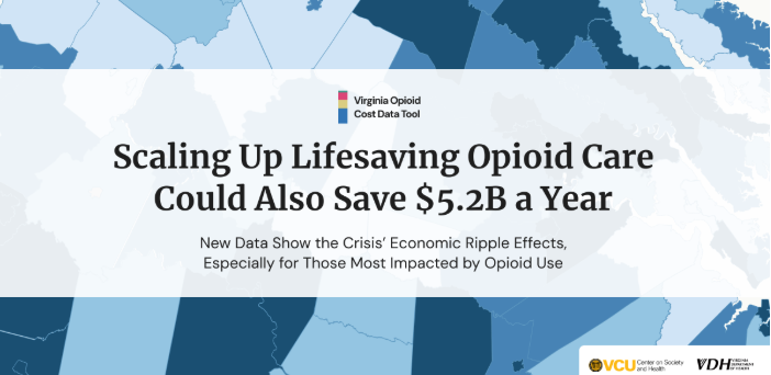 Virginia Opioid Cost Data Tool