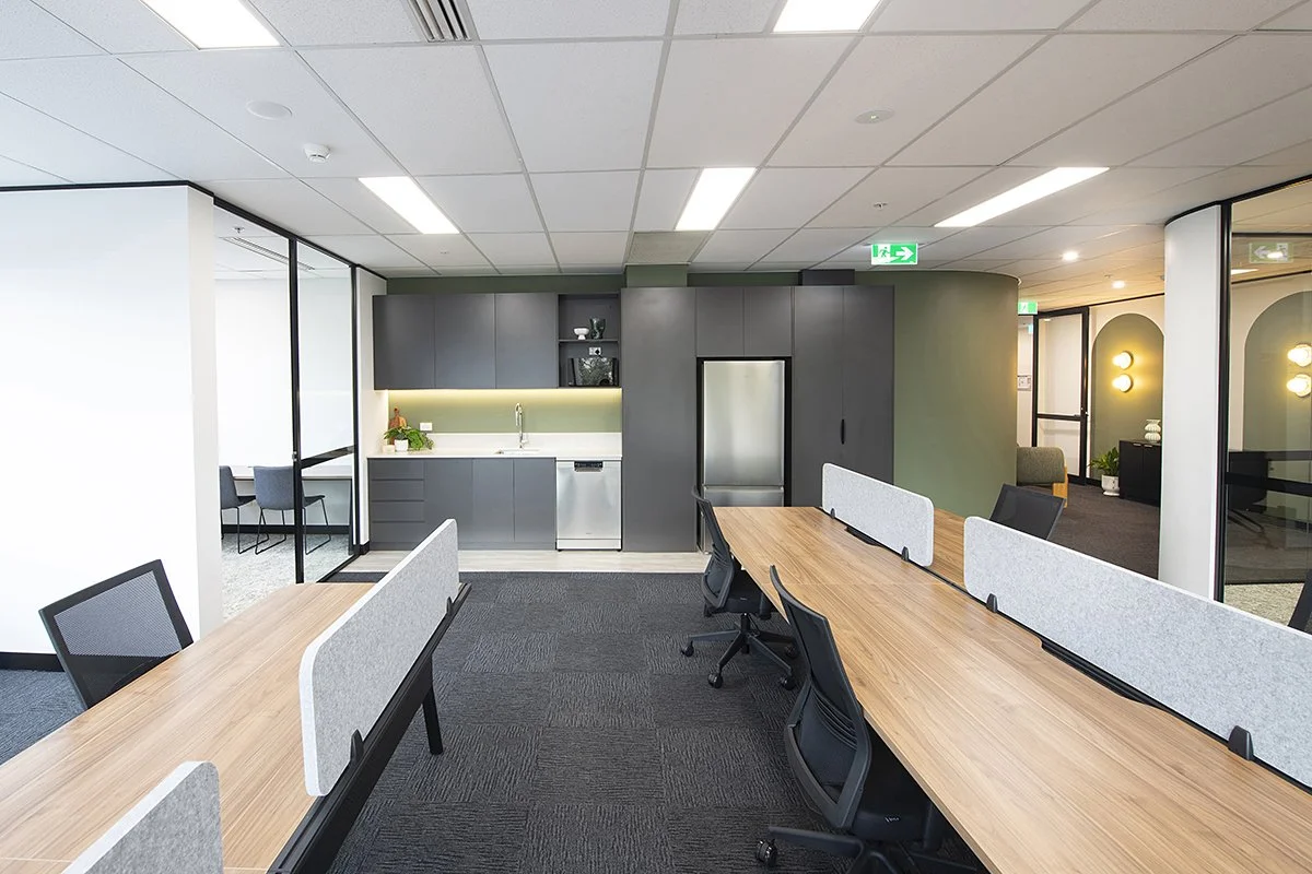 Speculative Suites - Parramatta