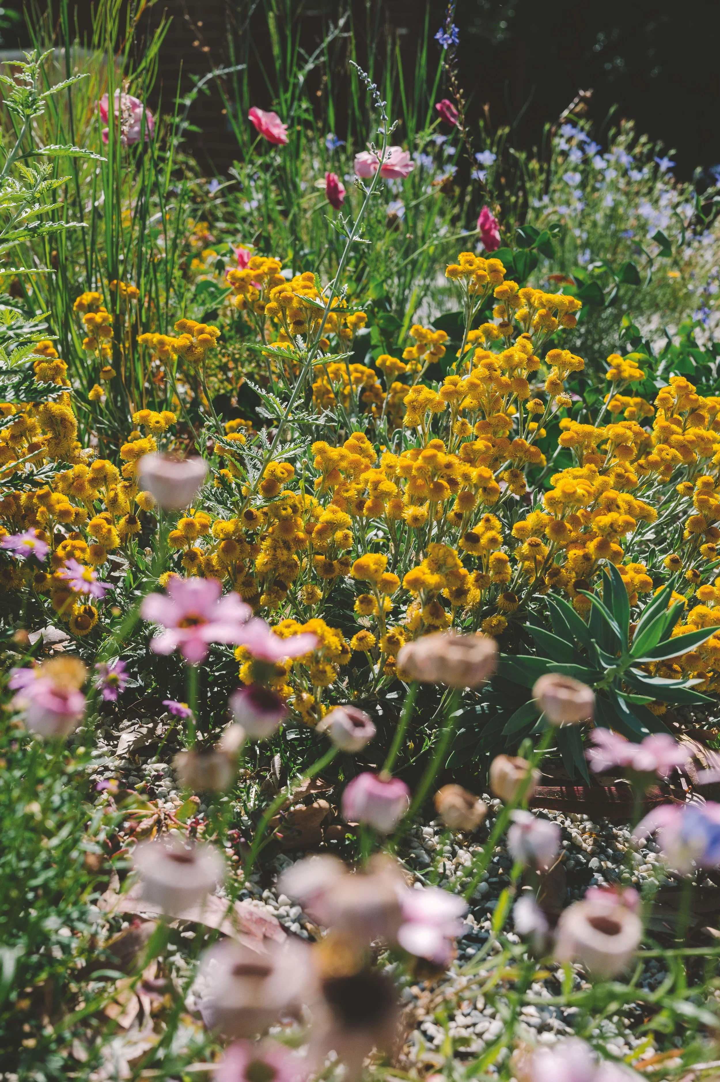 Photo by Sarah Pannell