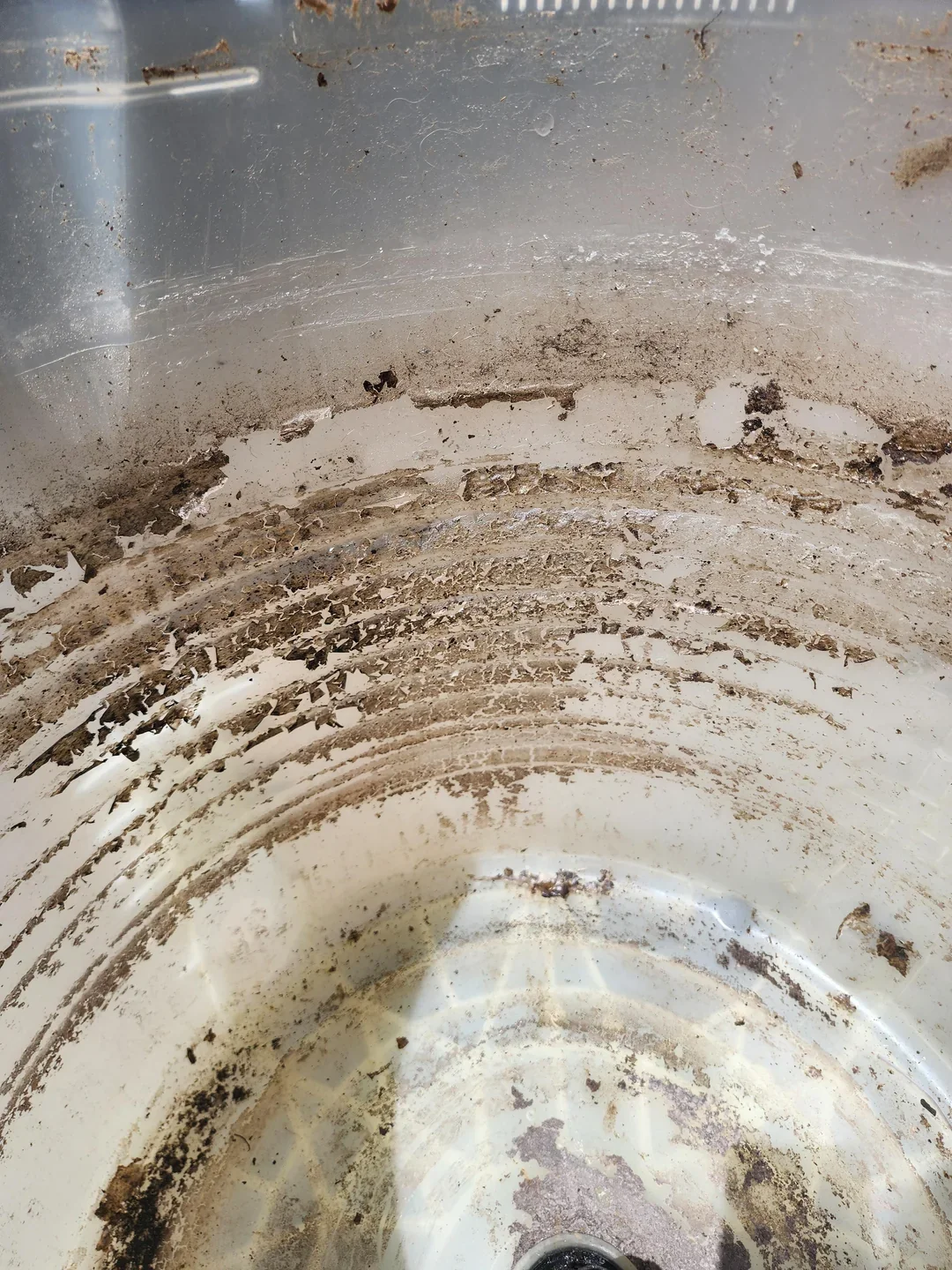 maytag-top-loader-dirty-drum-v0-bgvqnq36i2va1.jpg.webp
