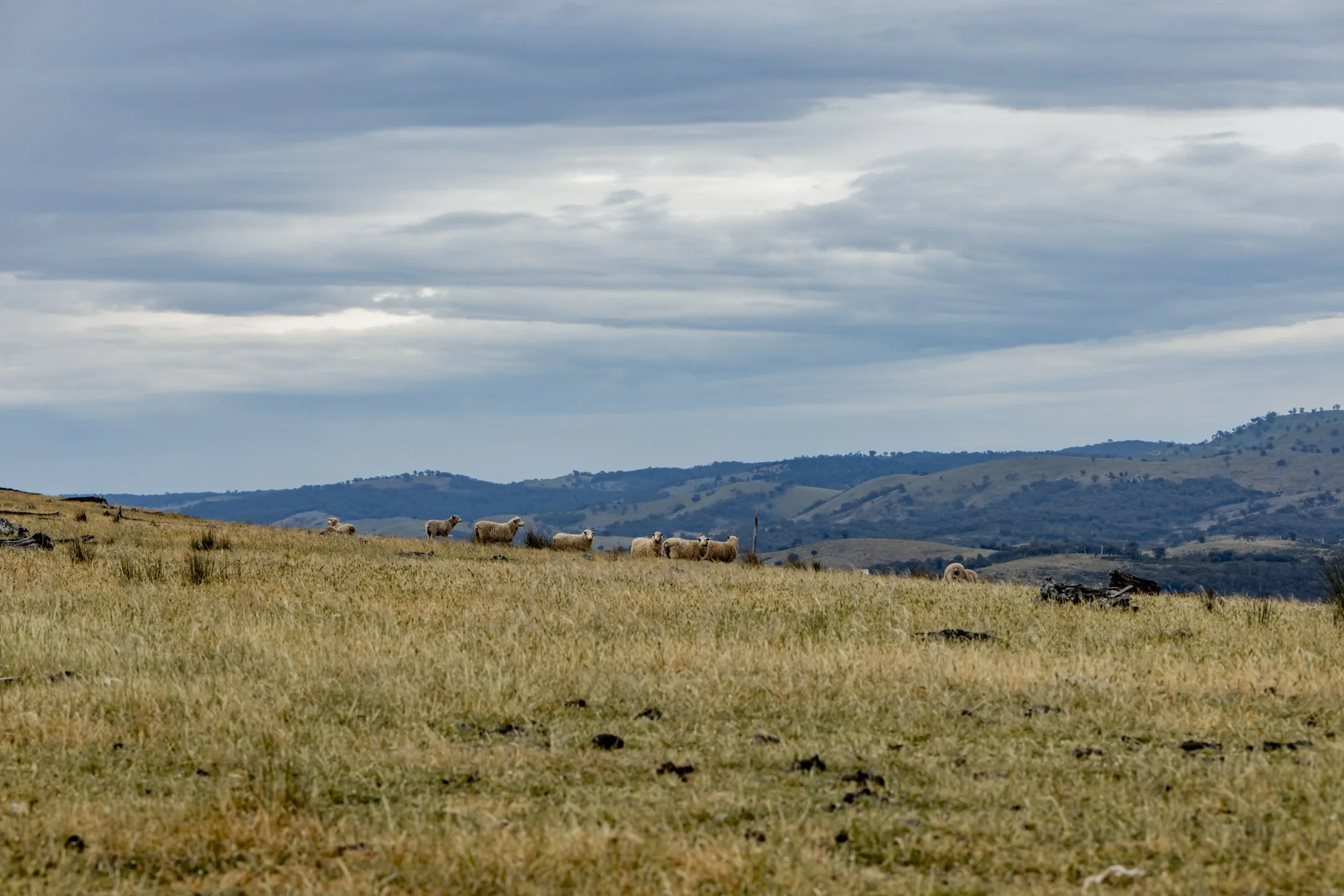 Rove_Retreat_Oct 2025_899.jpg