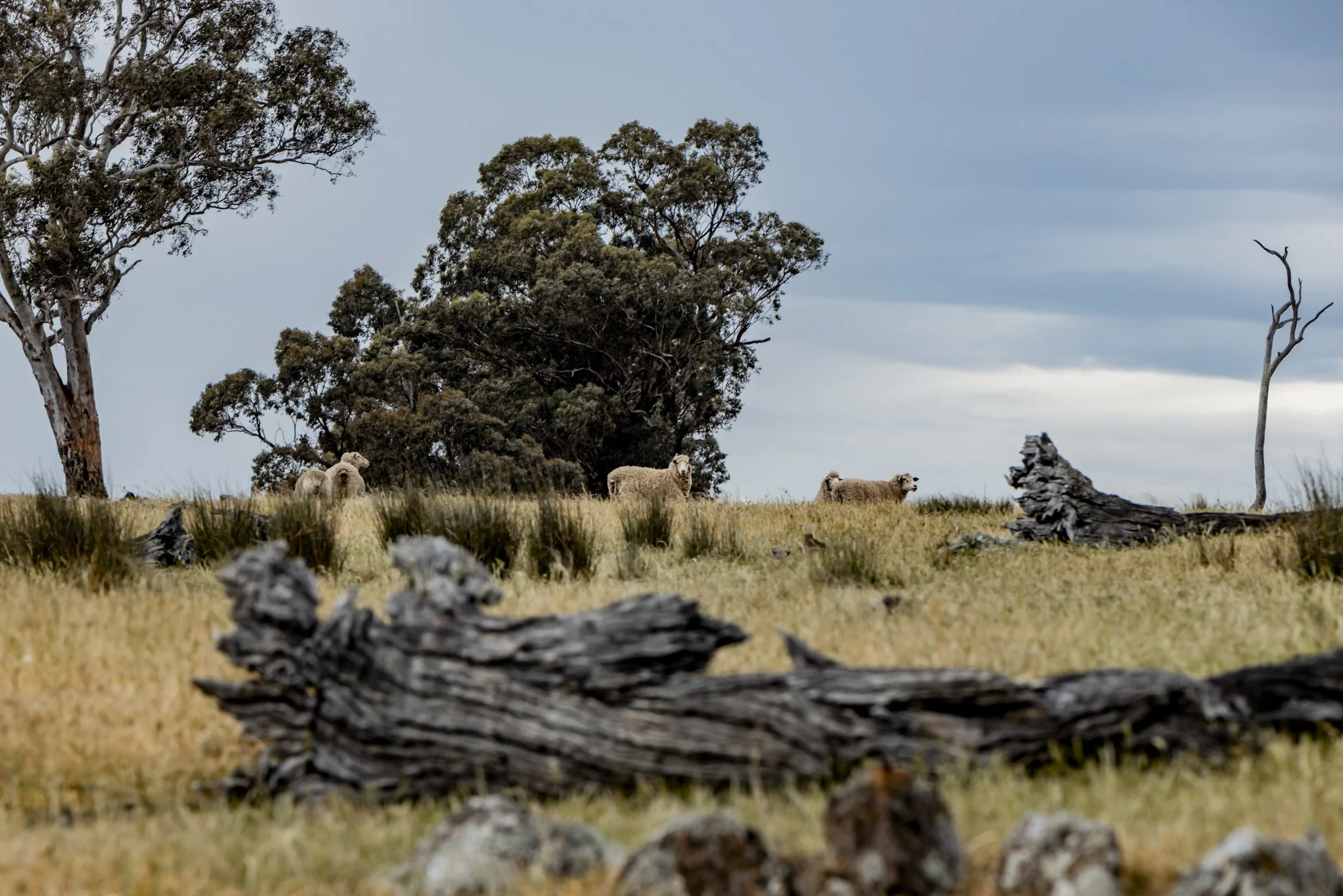 Rove_Retreat_Oct 2025_889.jpg