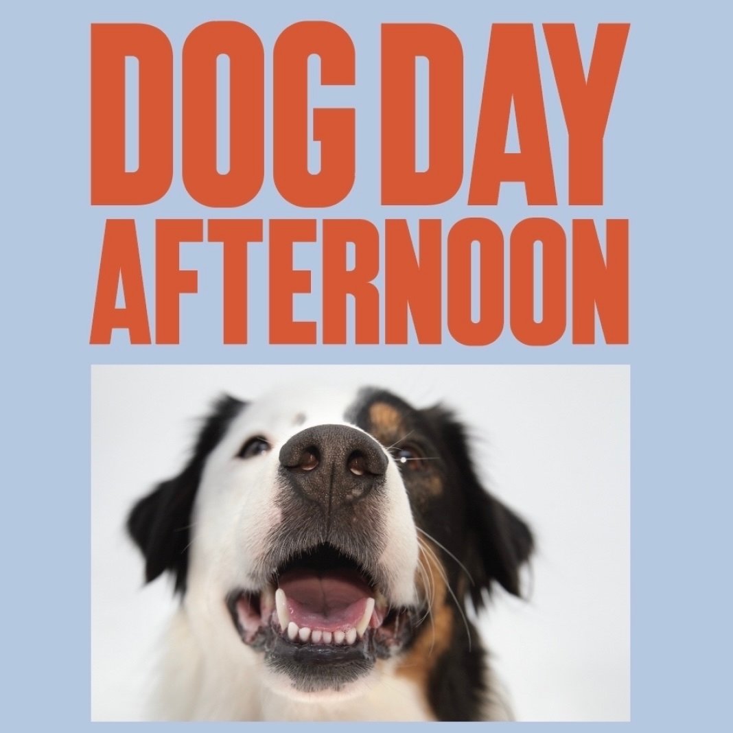 DOG DAY AFTERNOON 🐶 🐕 🐩 📸 

Feast Studios is holding their first Doggo Photoshoots! 
We are offering high quality beautiful portraits of your precious four legged friends. 

It is all happening across two afternoons next week. 
Tuesday 30th April