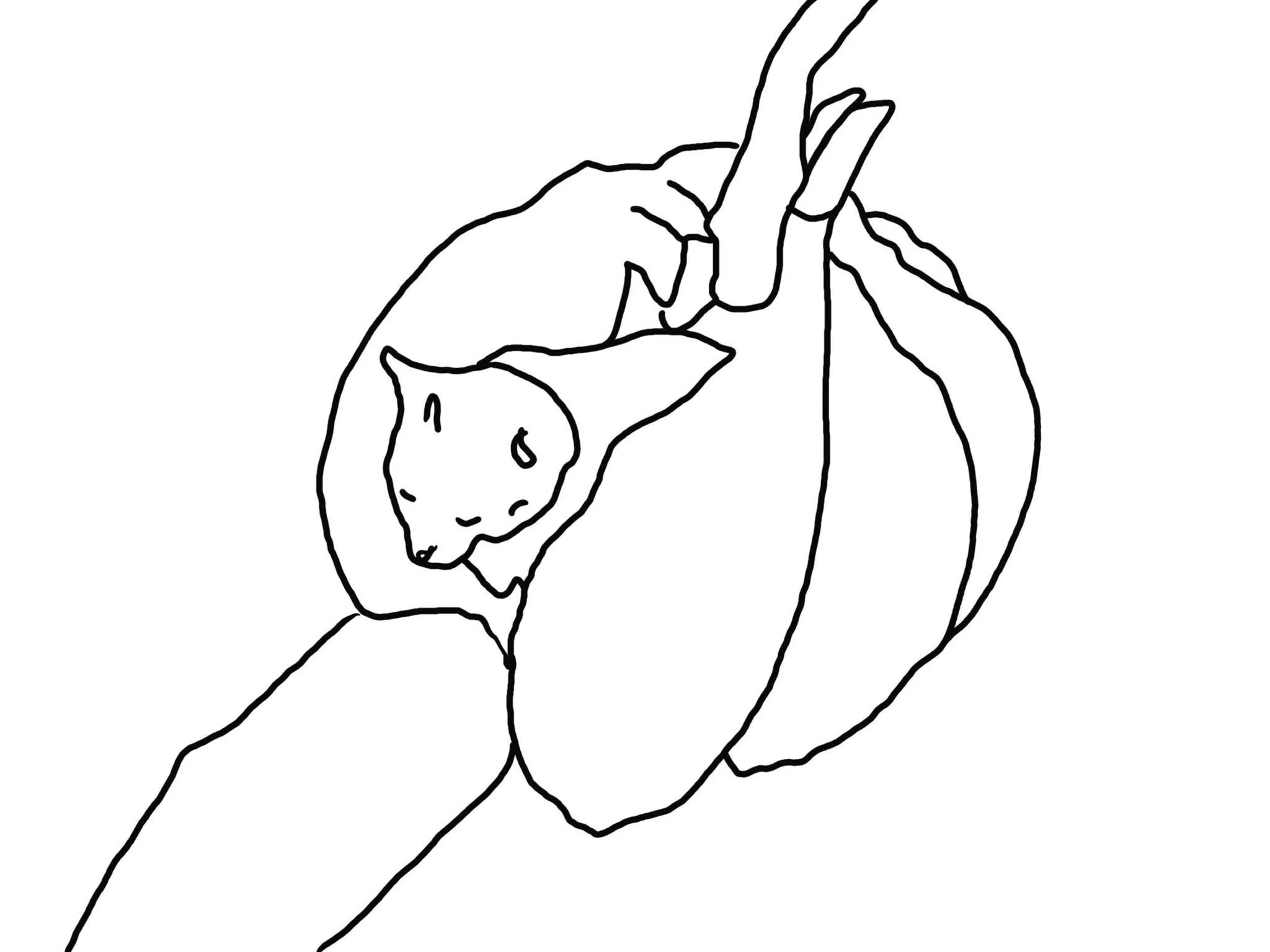 365383719_194738363413358_8528542643316890438_n.jpg
