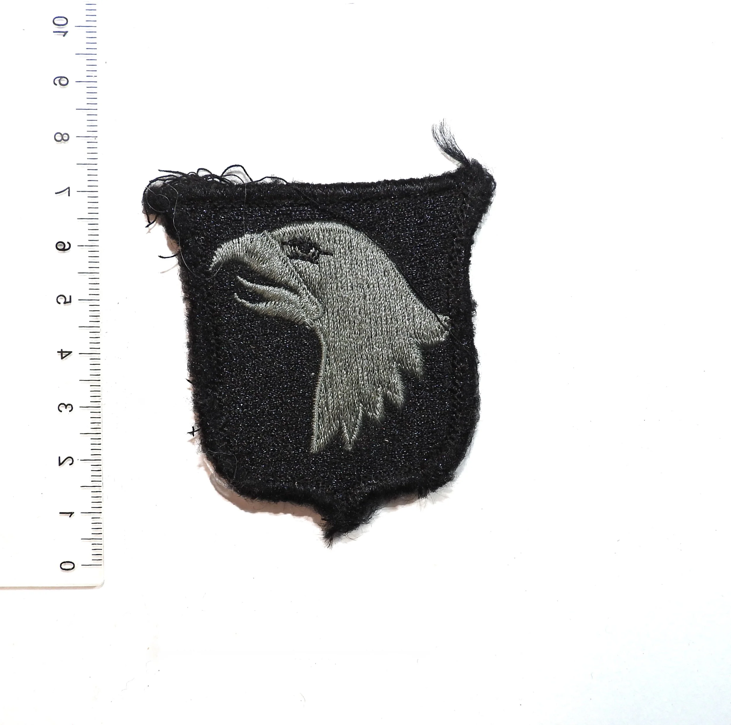 United States Army 101st Airborne Division (Air Assault) Patch. United States.