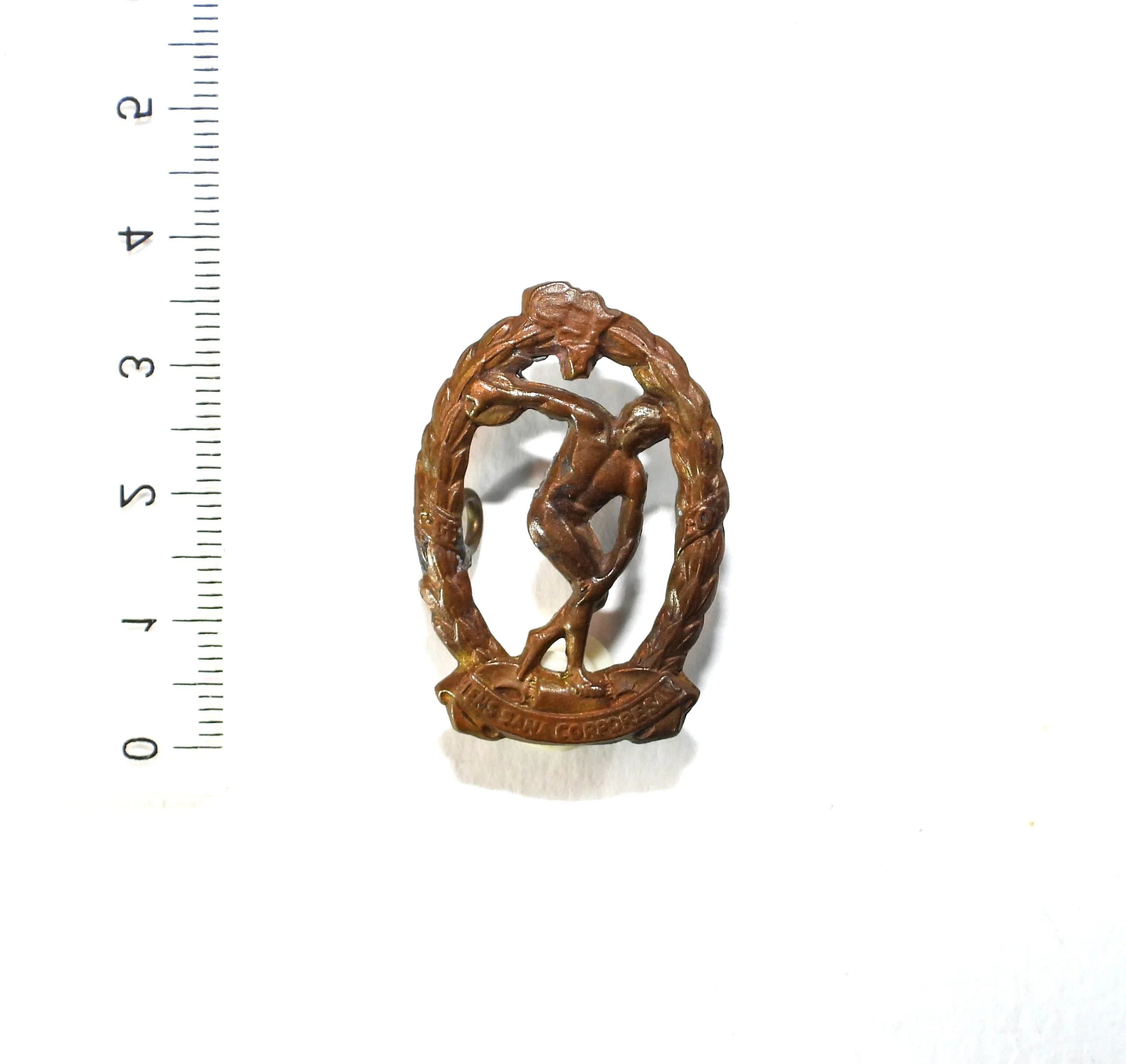 Physical Training Brigade Collar Badge. South Africa.