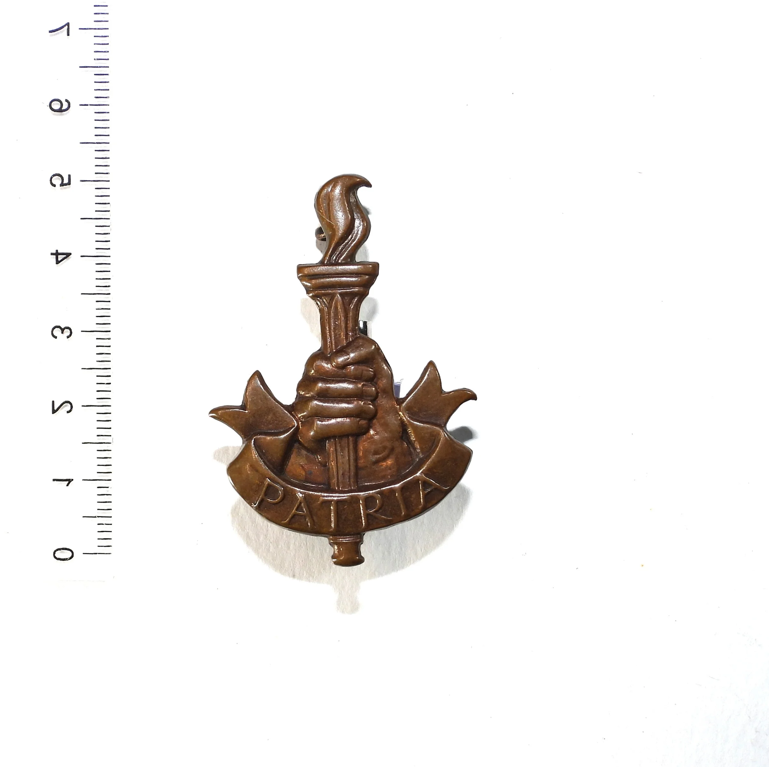 Youth's Training Brigade Cap Badge. South Africa.
