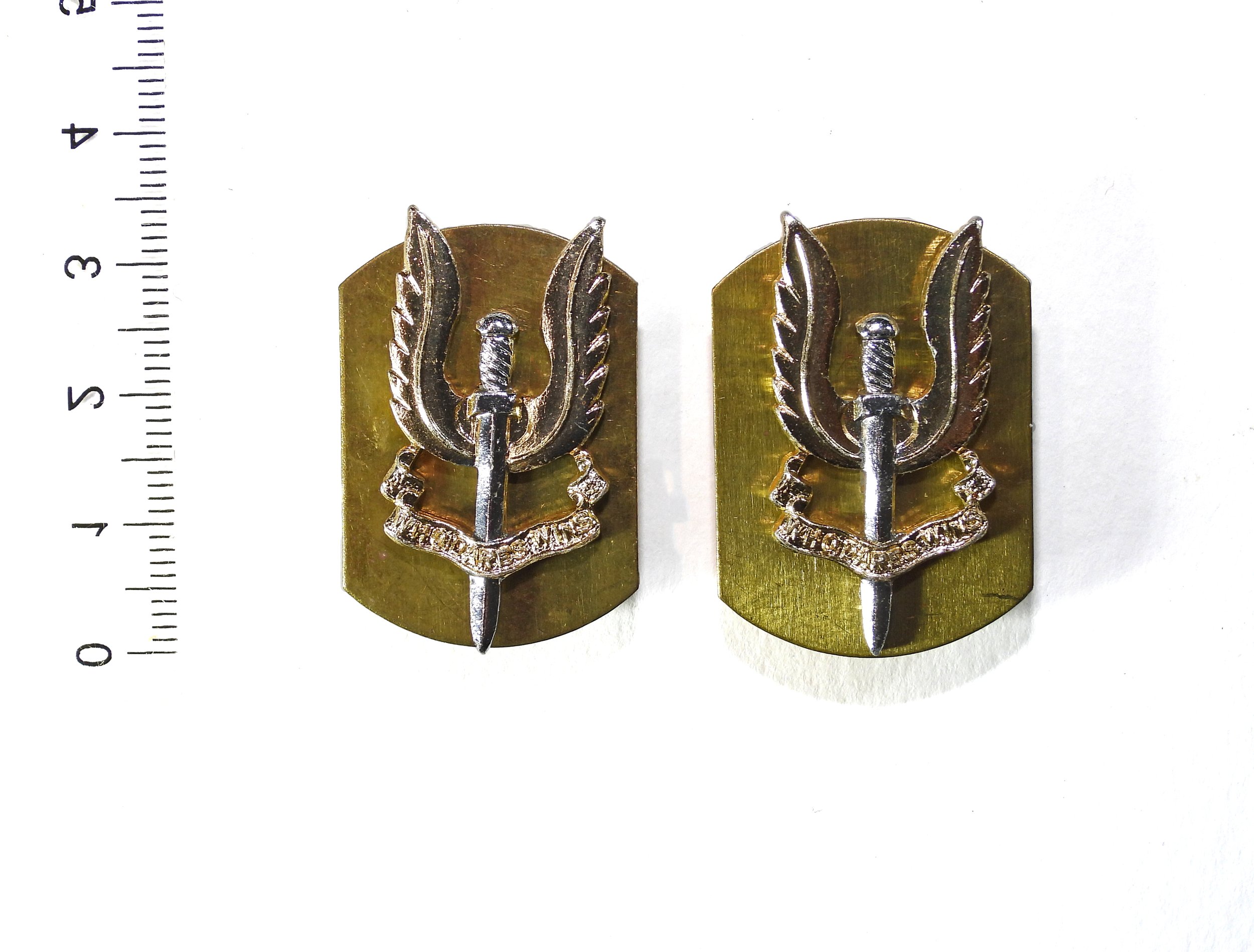 Special Air Service (S.A.S) Anodised Collar Badges. Pair. United Kingdom.