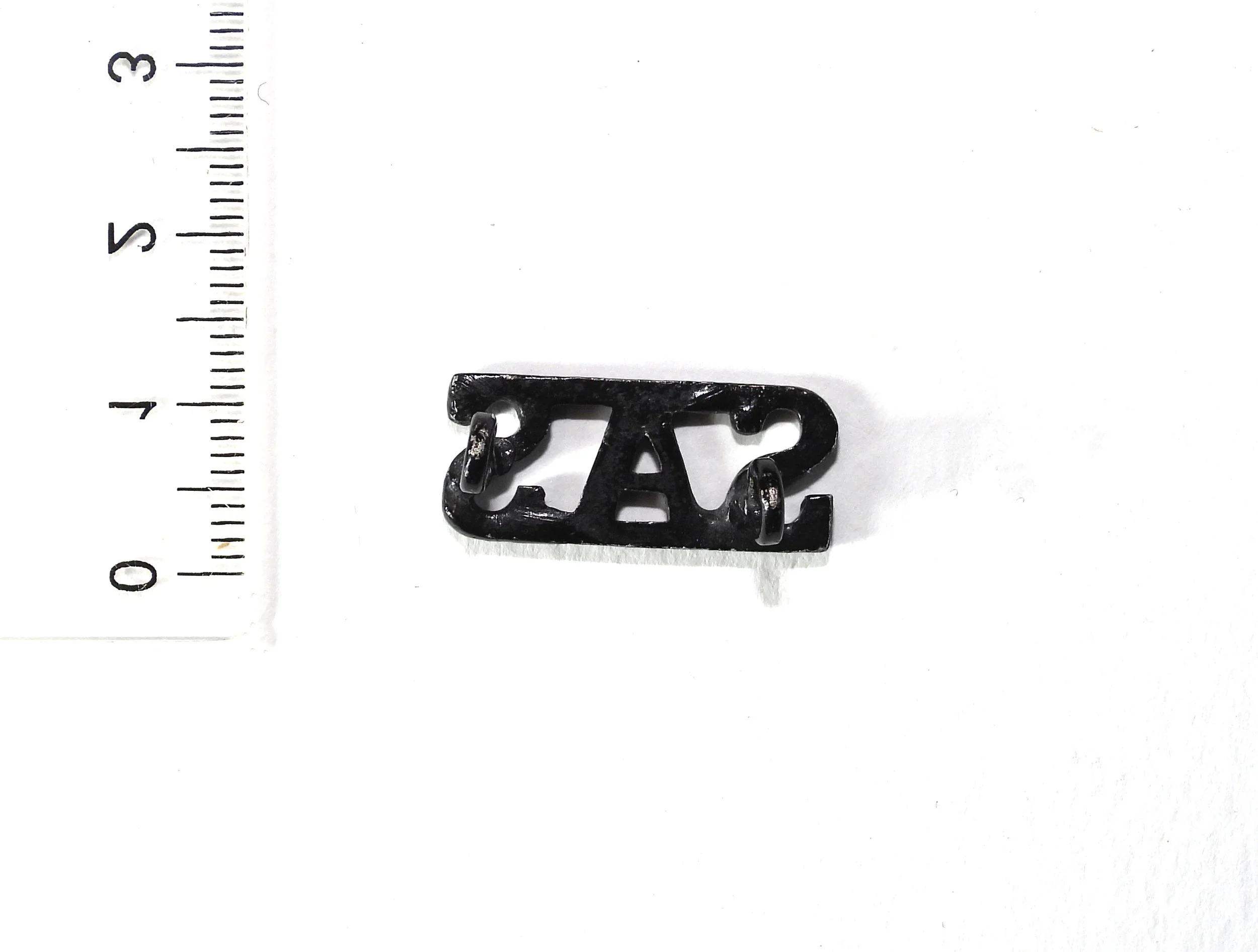 L1b (2).JPG