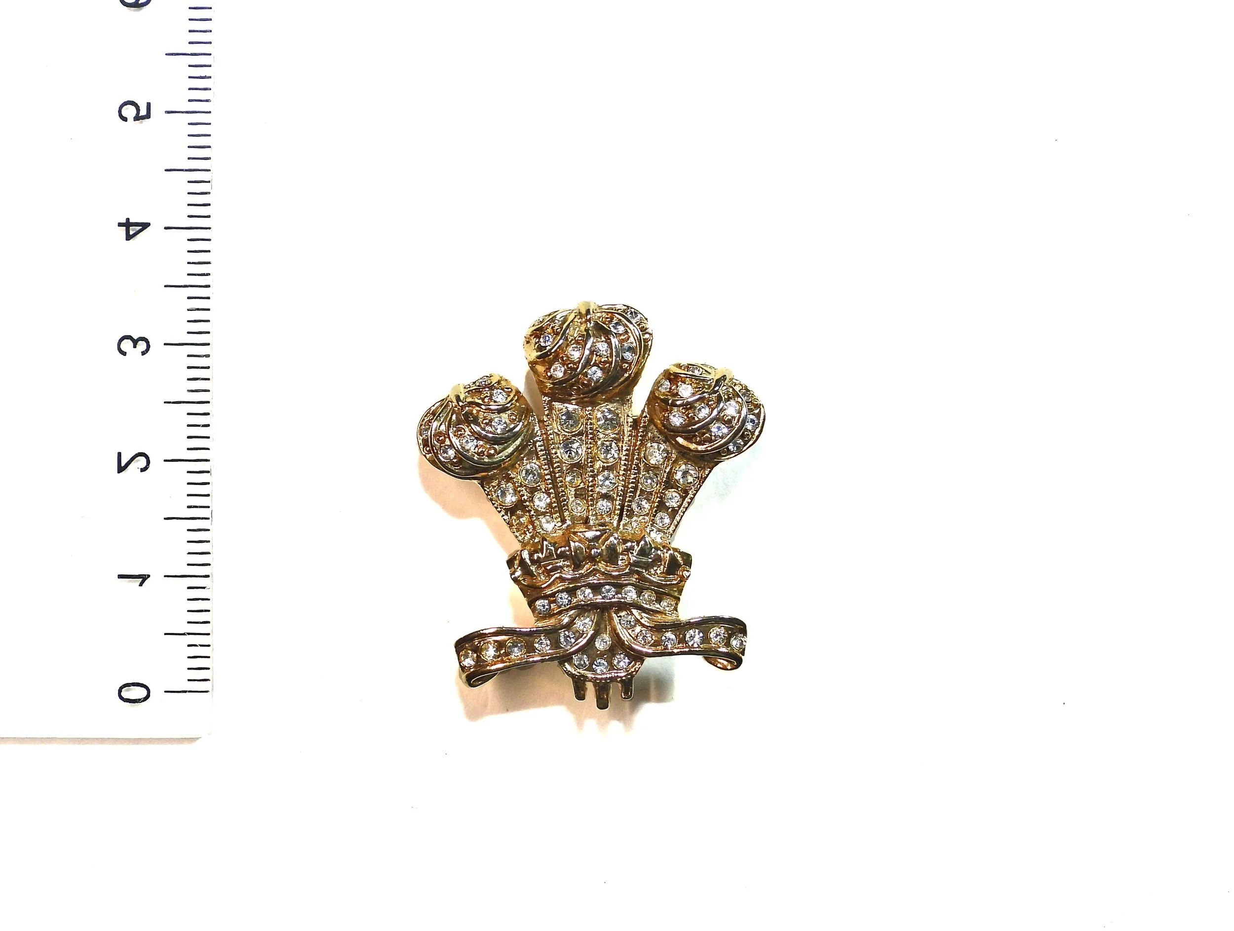 Prince of Wales Feathers Brooch. Wales, United Kingdom.