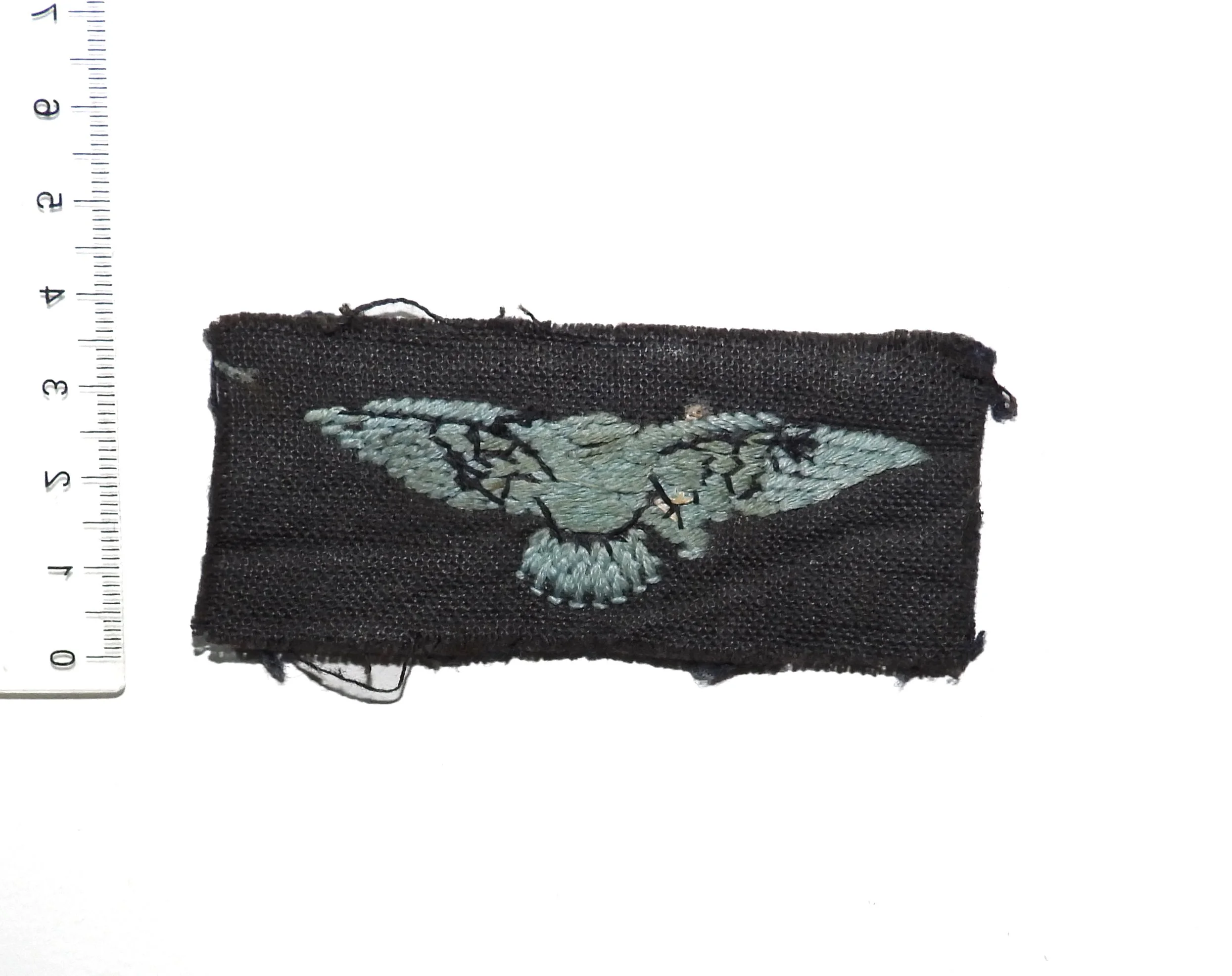 H55 (2).JPG