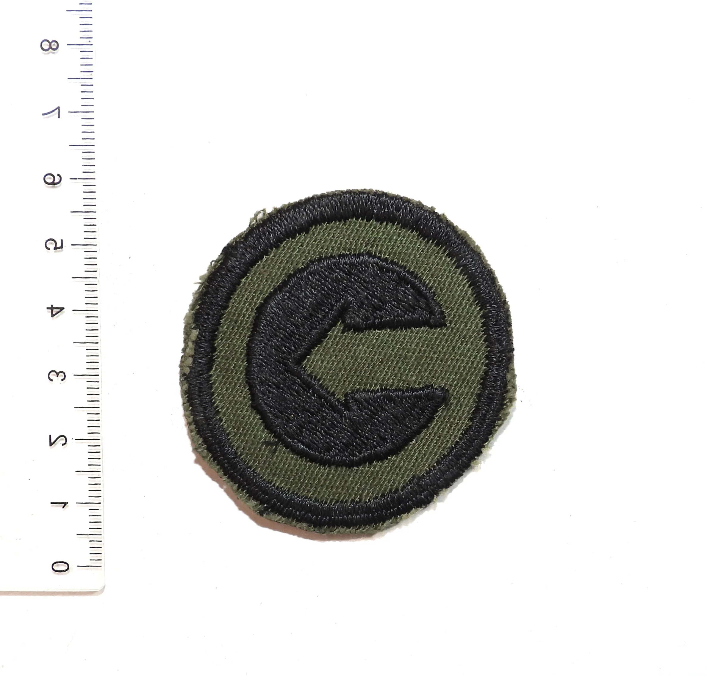 1st Theater Sustainment Command Patch. United States Army.