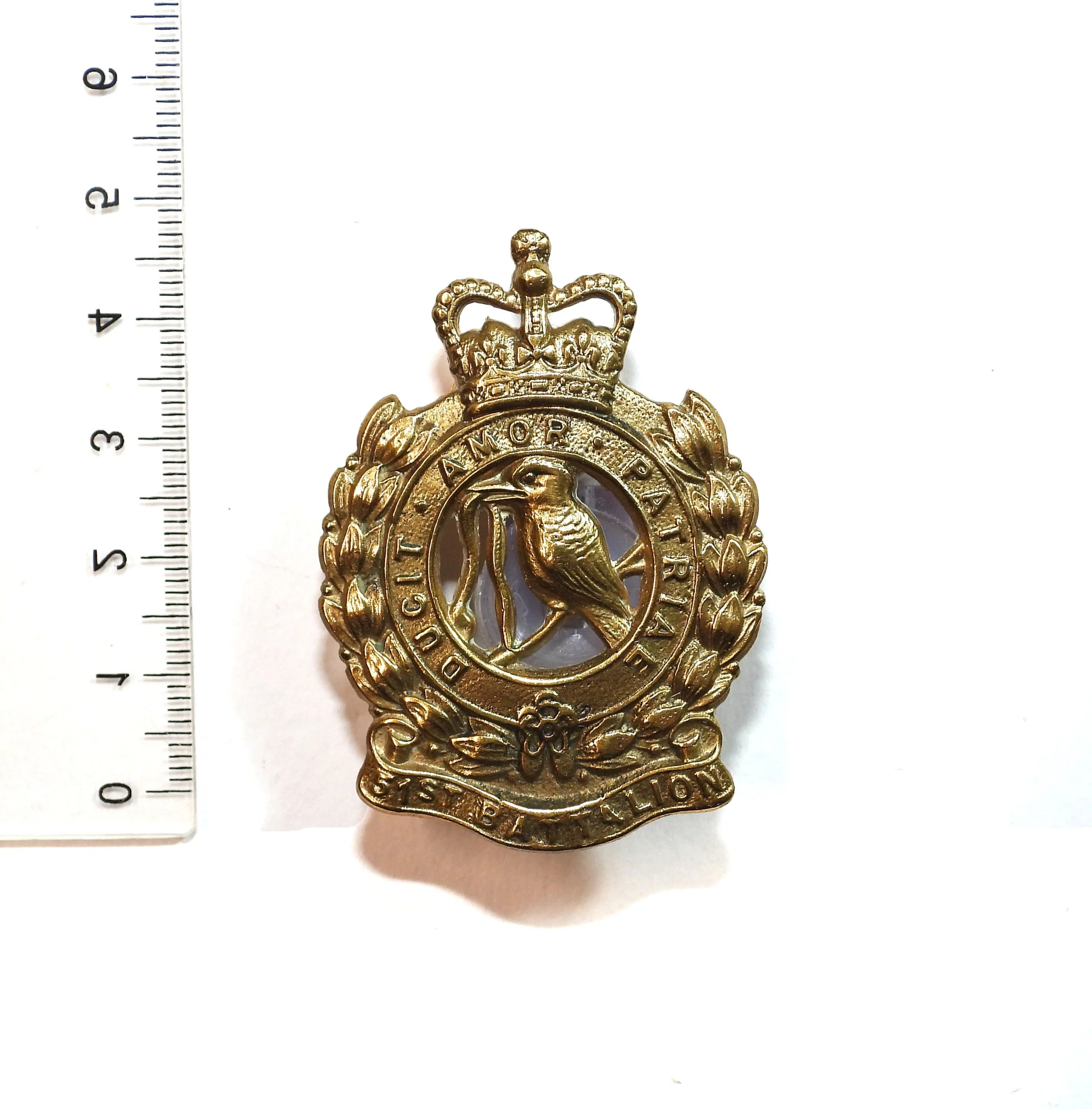 51st Infantry (The Far North Queensland Regiment) Reproduced Cap Badge. Australia.