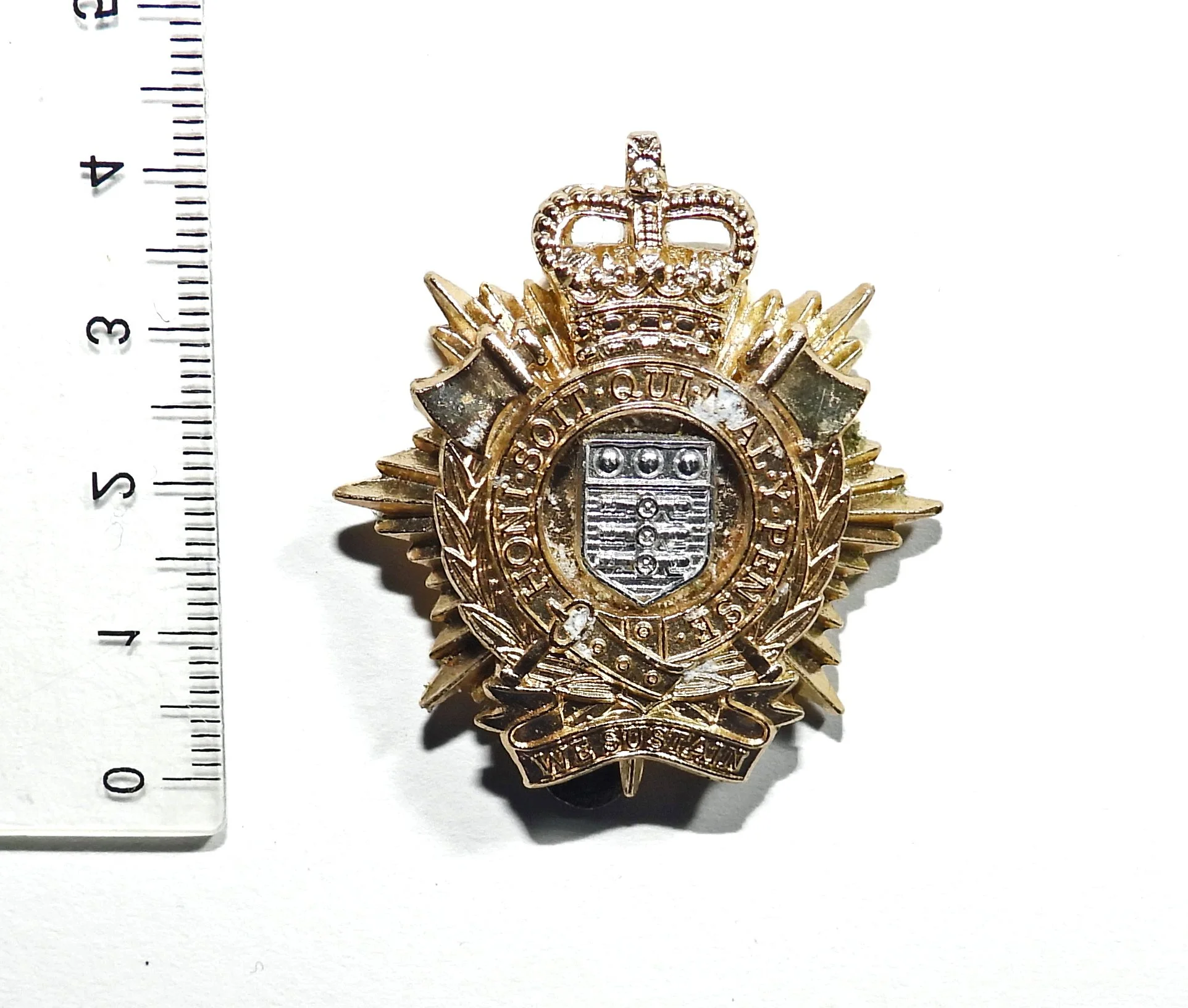 Royal Logistics Corps Cap Badge. United Kingdom.