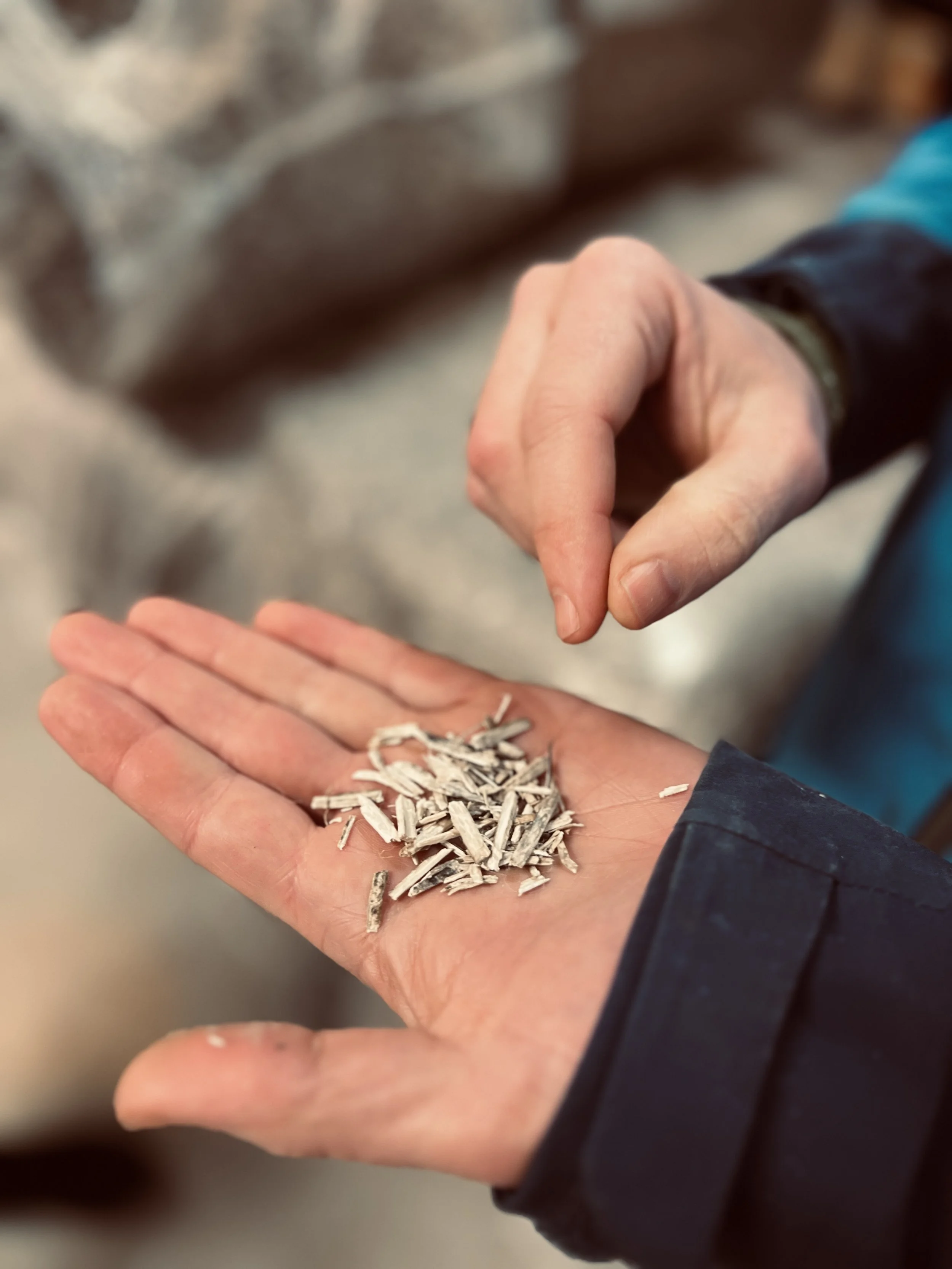 Hempcrete – hva er det, og hvorfor fulgte vi et kurs i Oslo?