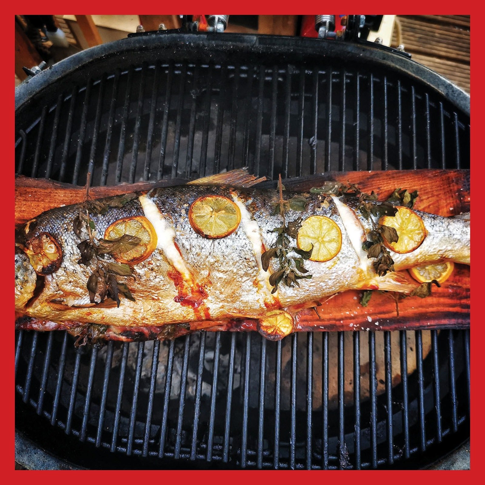 BBQ Recipes | Plank grilled Devon sea trout — BBQ Magazine