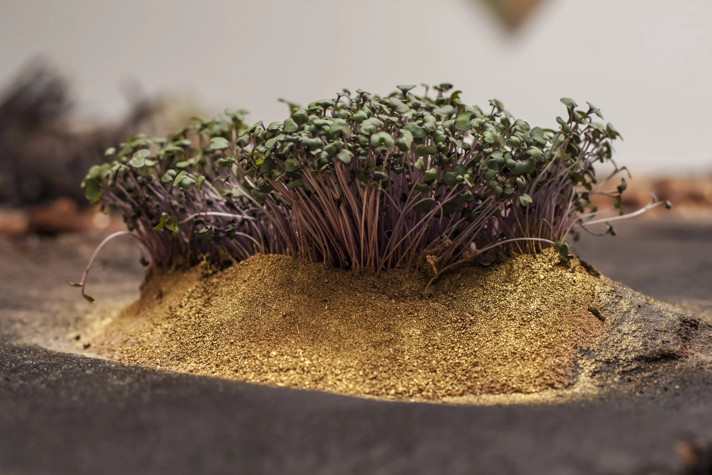 heiterX_august september 2023 photography alana proosa-102.jpg