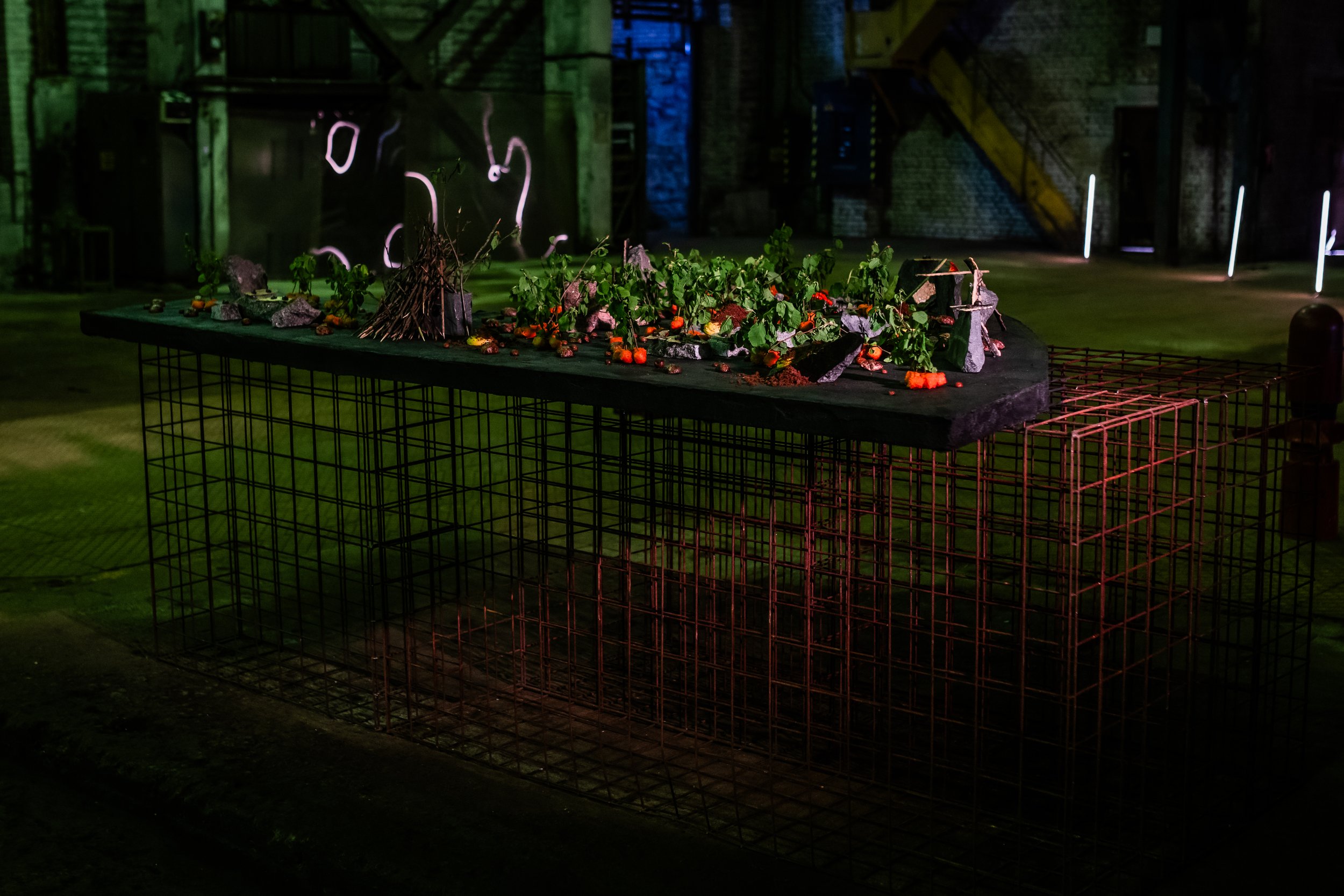 DSC_4295- by Karen Harms.jpg