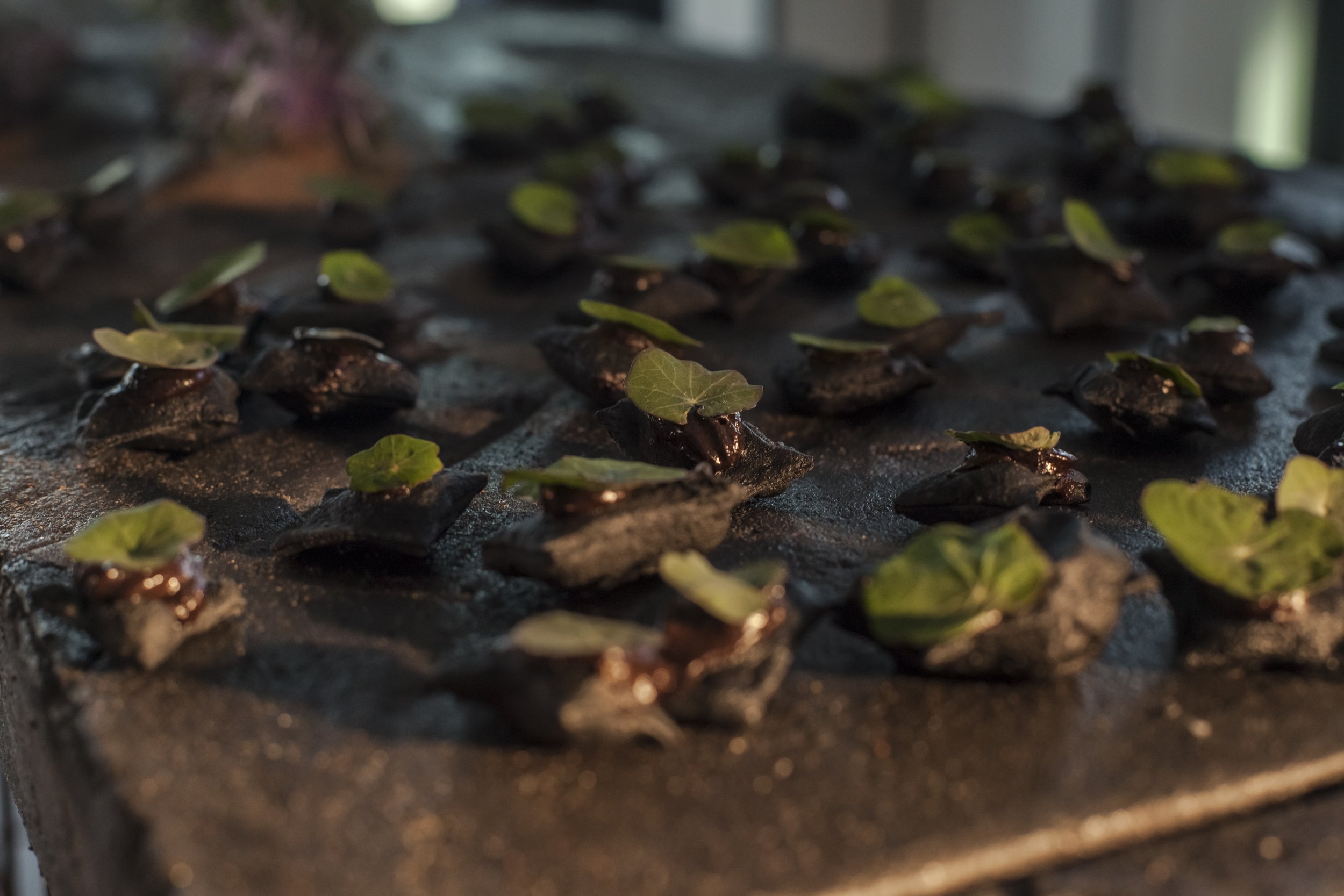 heiterX_august september 2023 photography alana proosa-3.jpg