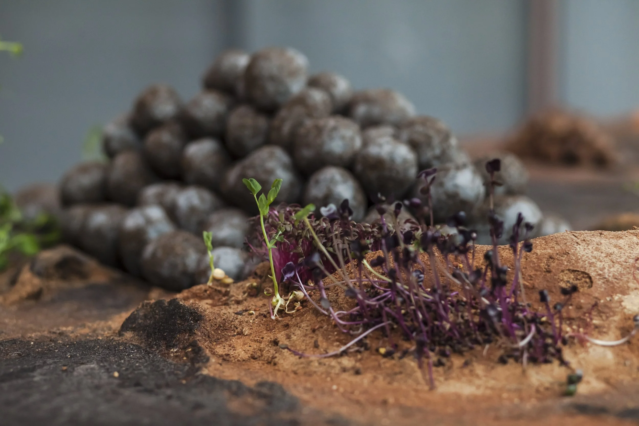 heiter x_08052023_photography alana proosa-93.jpg