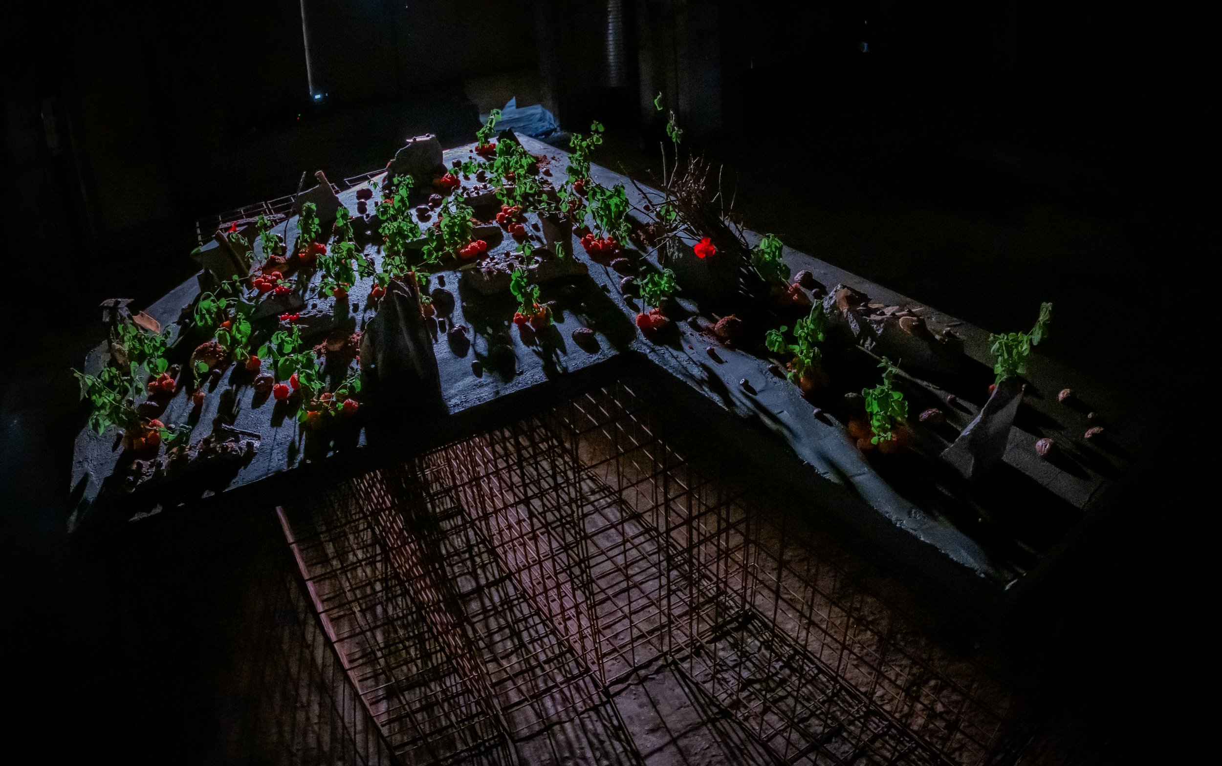 DSC_4430- by Karen Harms.jpg