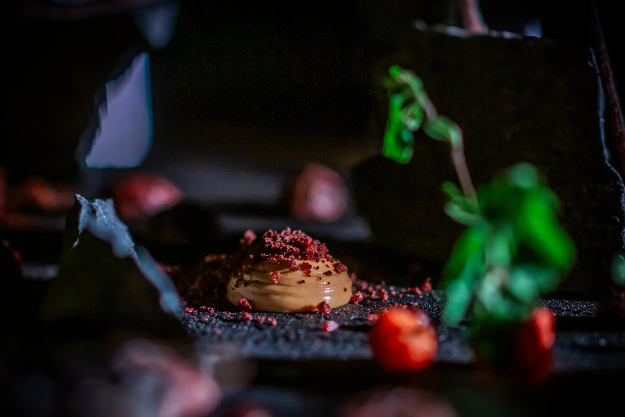 DSC_4583- by Karen Harms.jpg