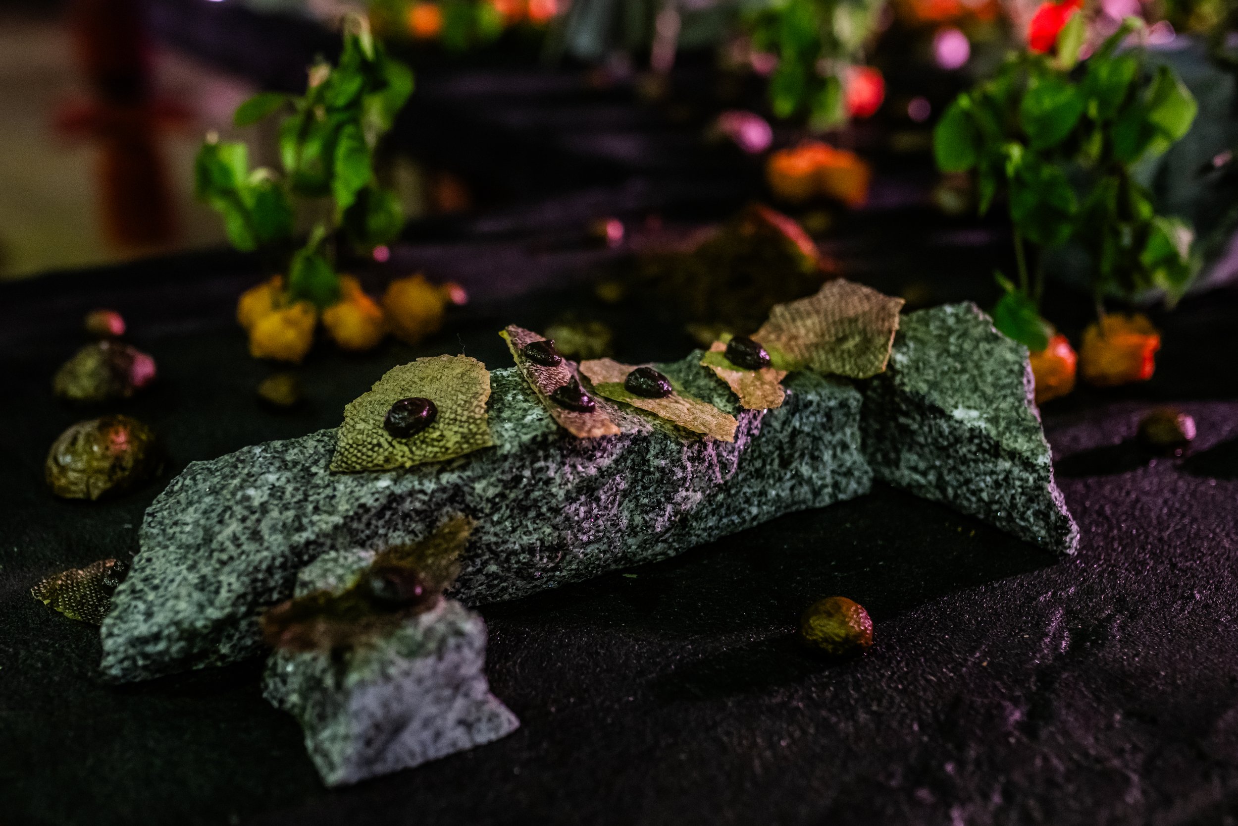 DSC_4260- by Karen Harms.jpg