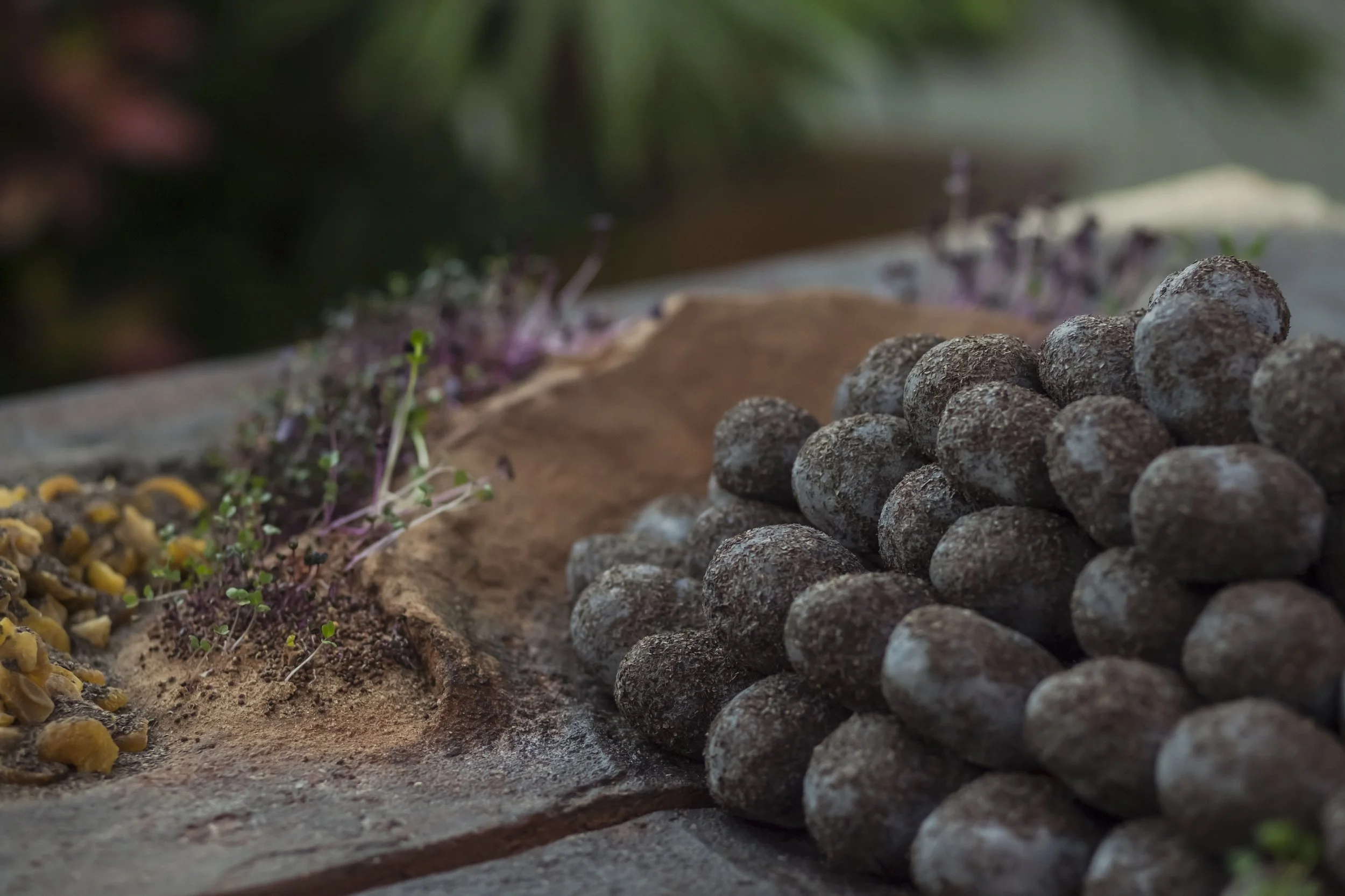 heiter x_08052023_photography alana proosa-73.jpg