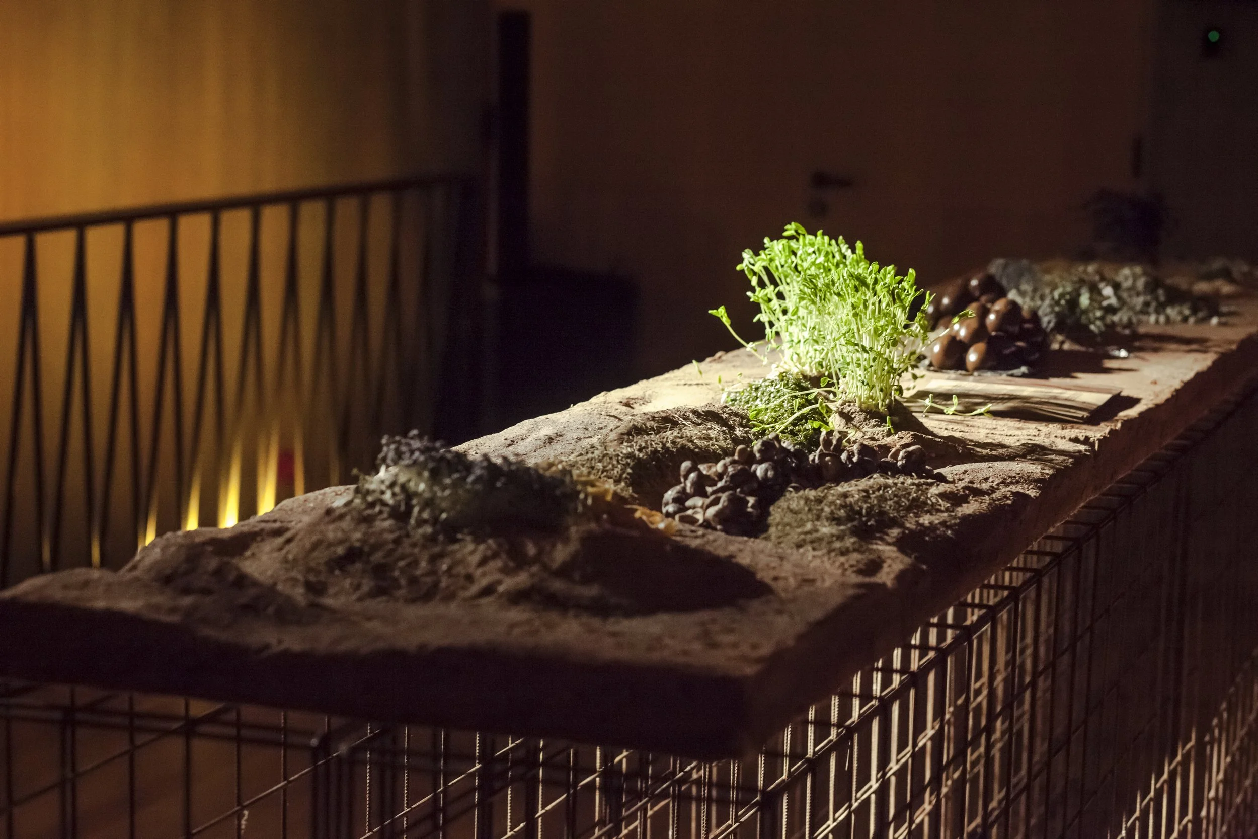 heiter x_terra firma_viimsi artrium_okt 2022_photography alana proosa-73 copy.jpg