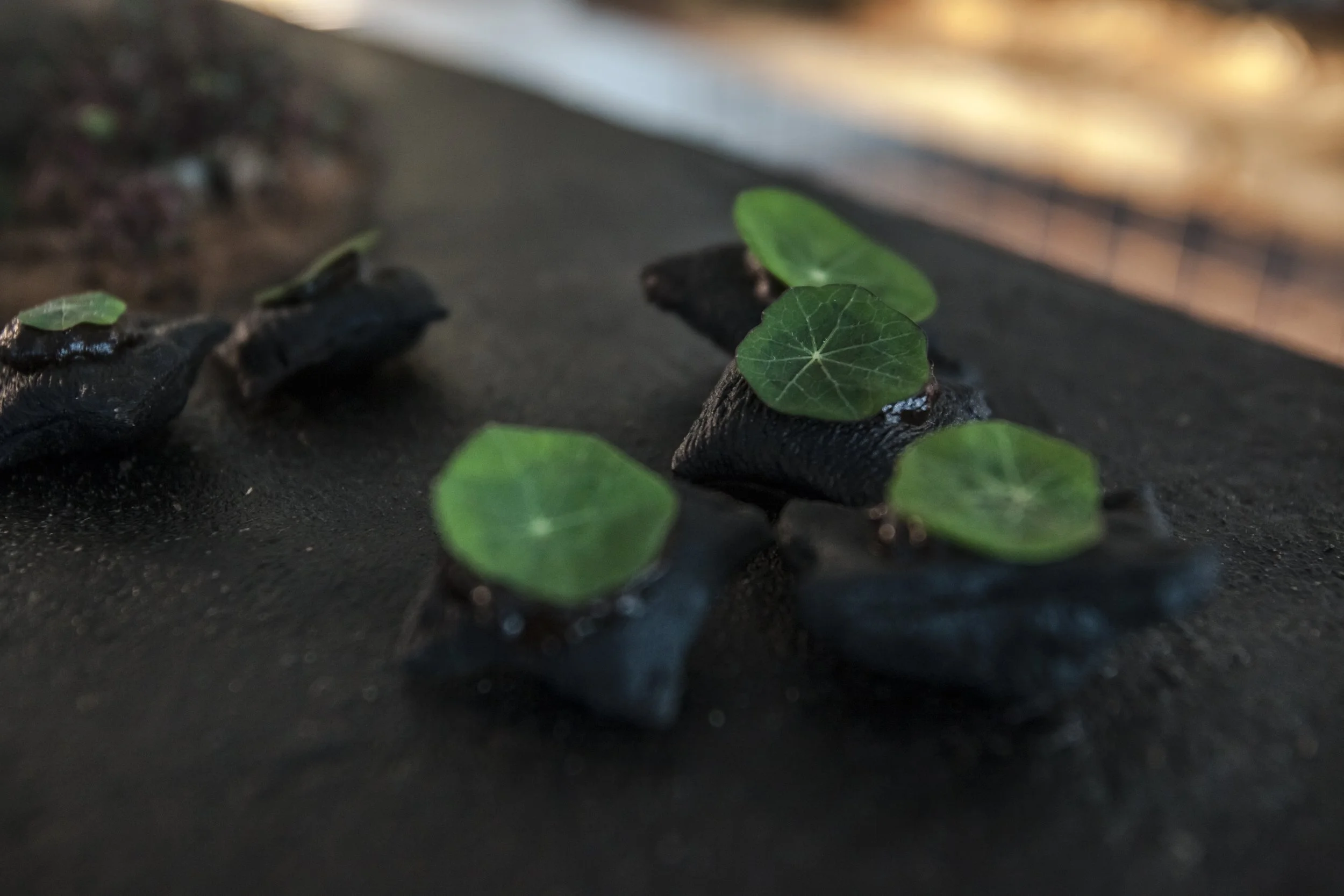 heiterX_august september 2023 photography alana proosa-67.jpg