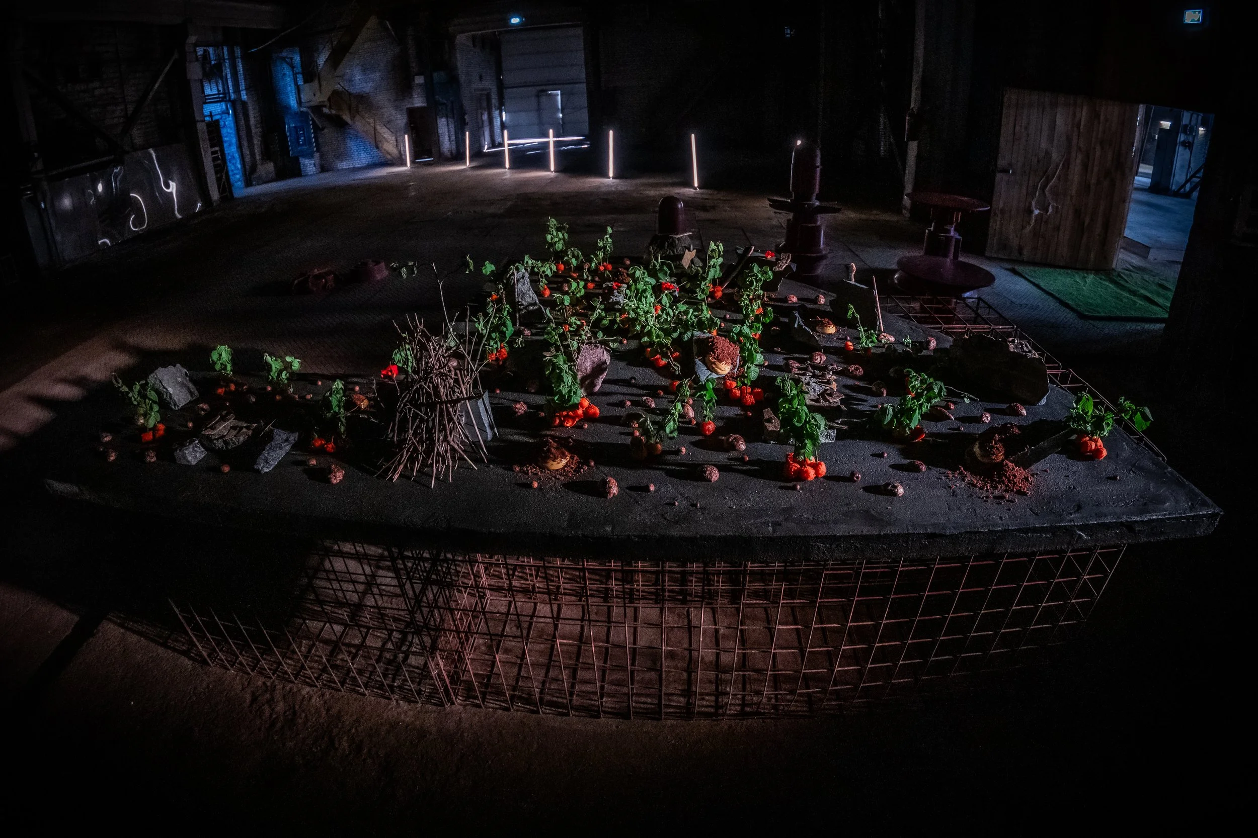 DSC_4336- by Karen Harms.jpg