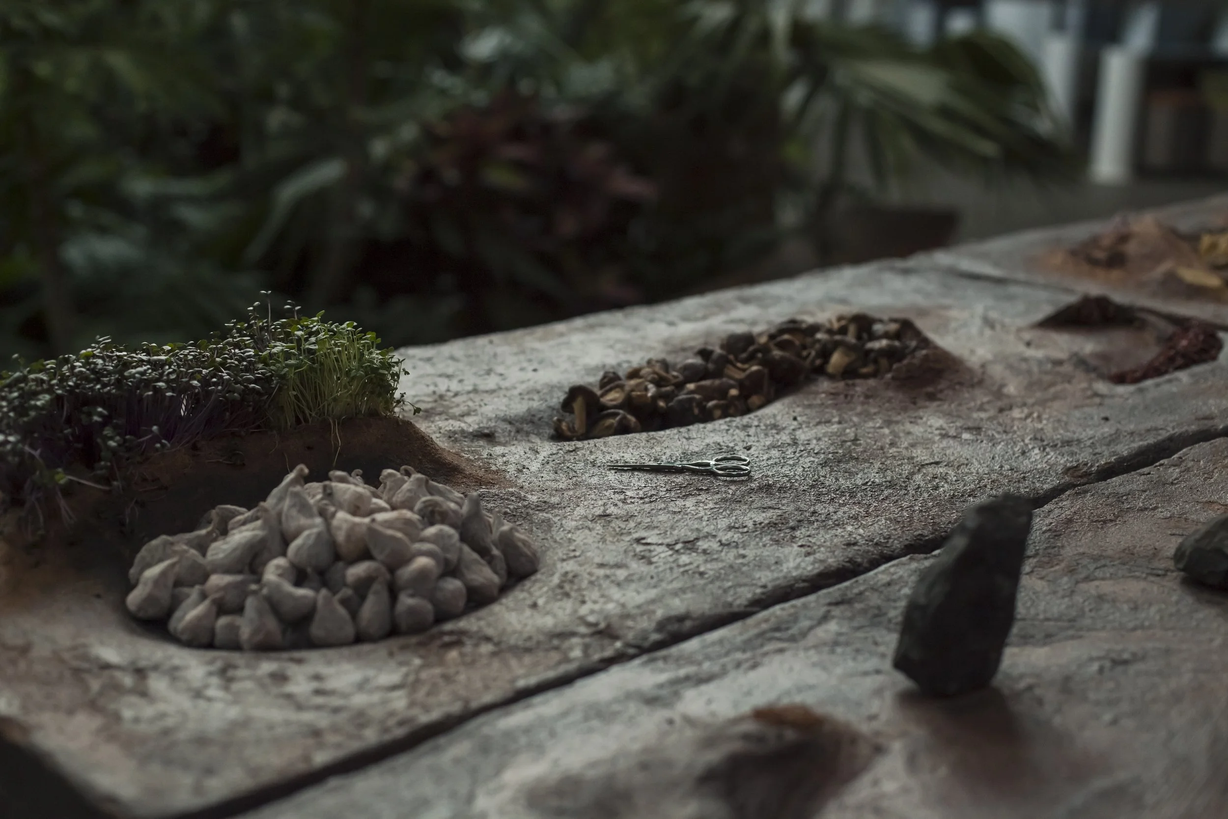 heiter x_08052023_photography alana proosa-107.jpg