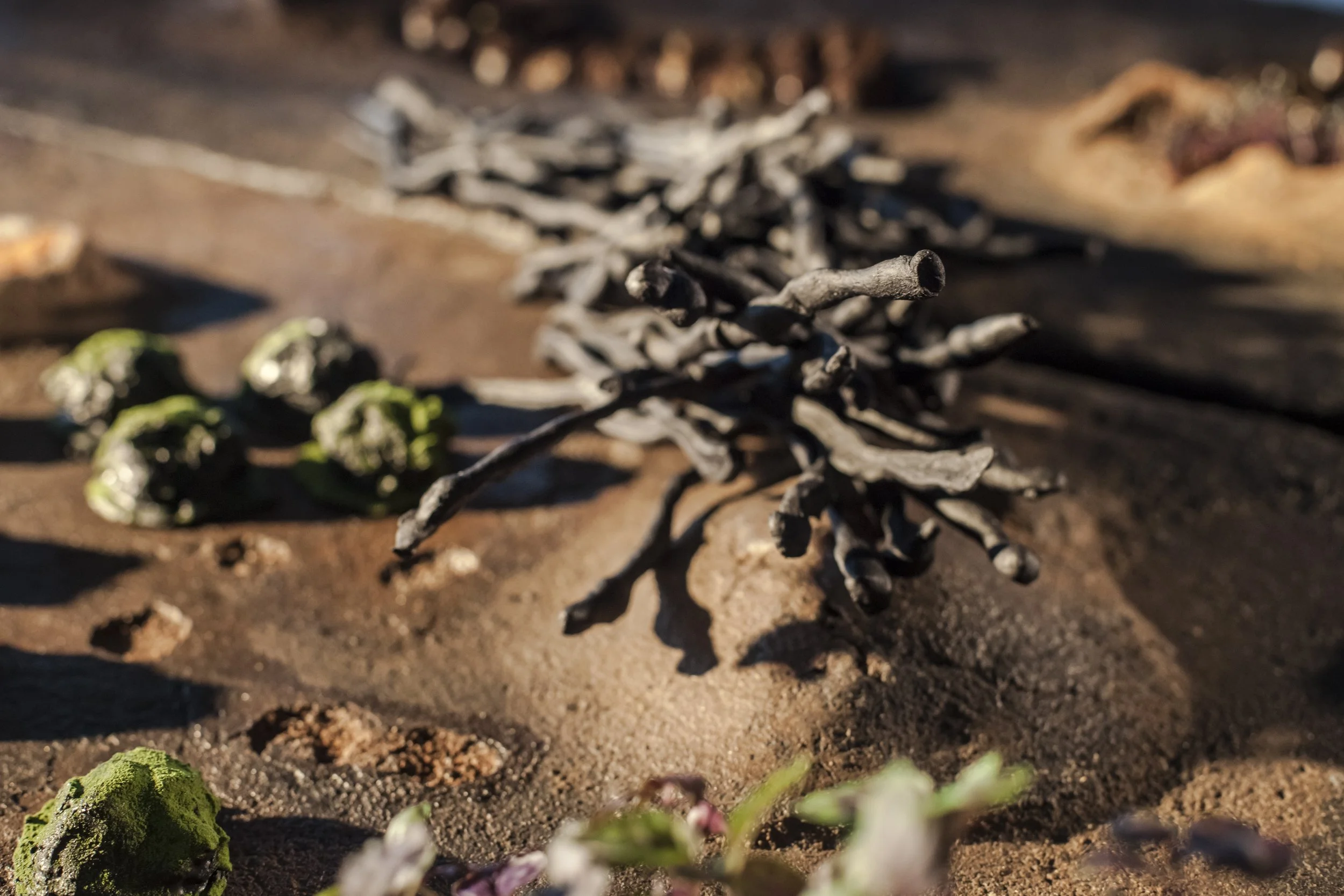 heiterX_august september 2023 photography alana proosa-26.jpg