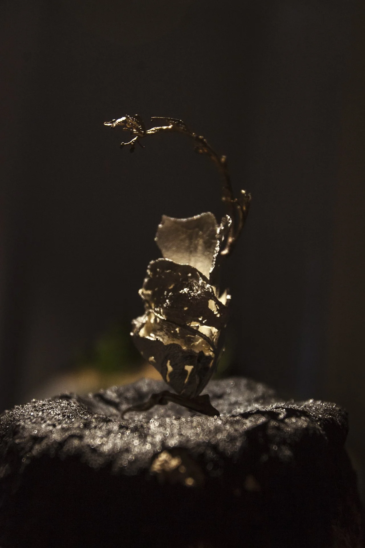 protopia collective_soshiro gallery_london sept 2024_photography alana proosa-134.jpg