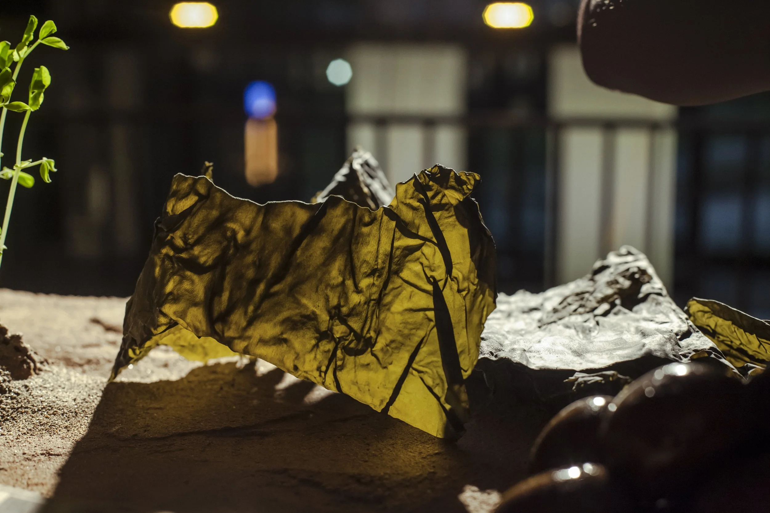 heiter x_terra firma_viimsi artrium_okt 2022_photography alana proosa-37.jpg