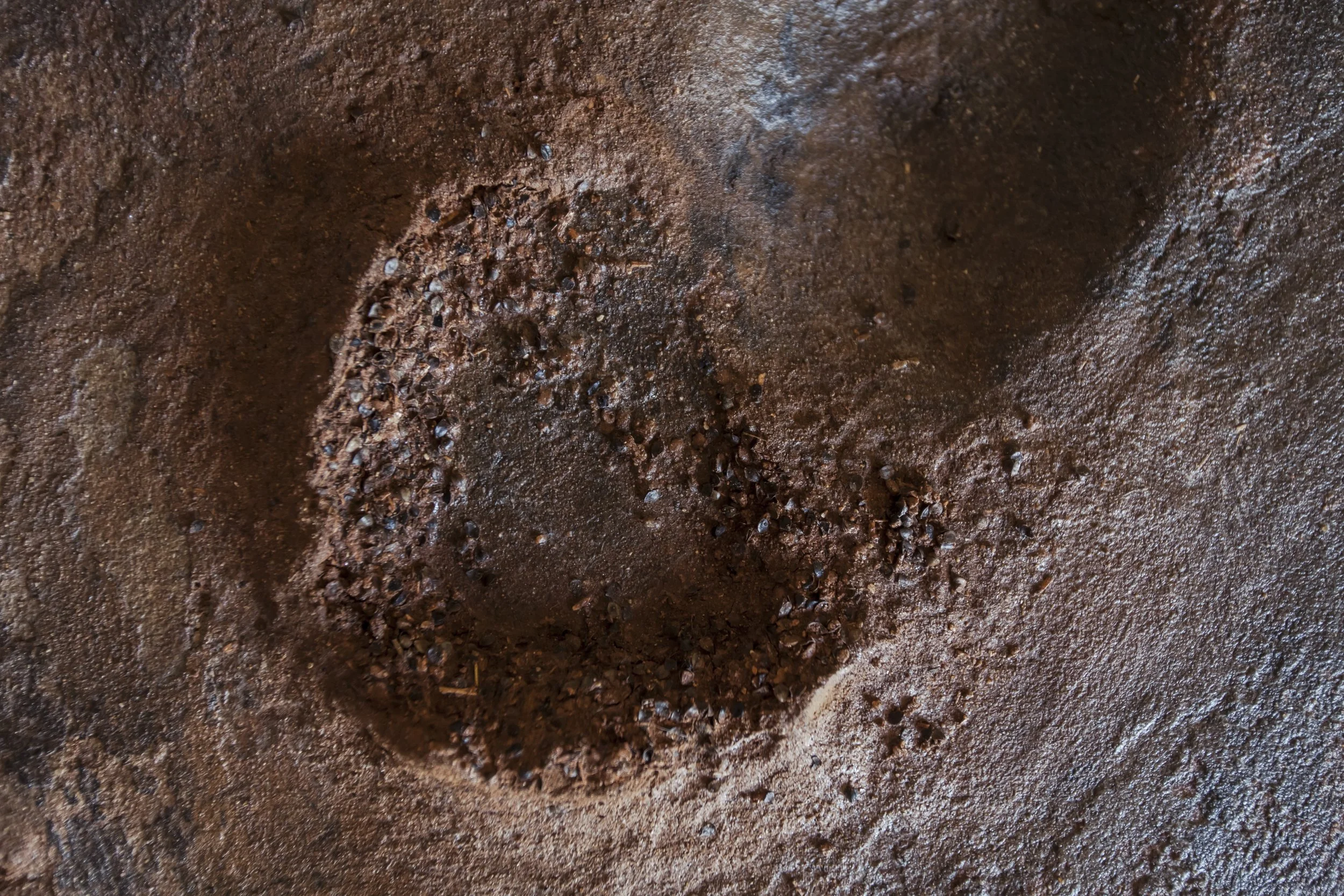 heiter x_08052023_photography alana proosa-63.jpg