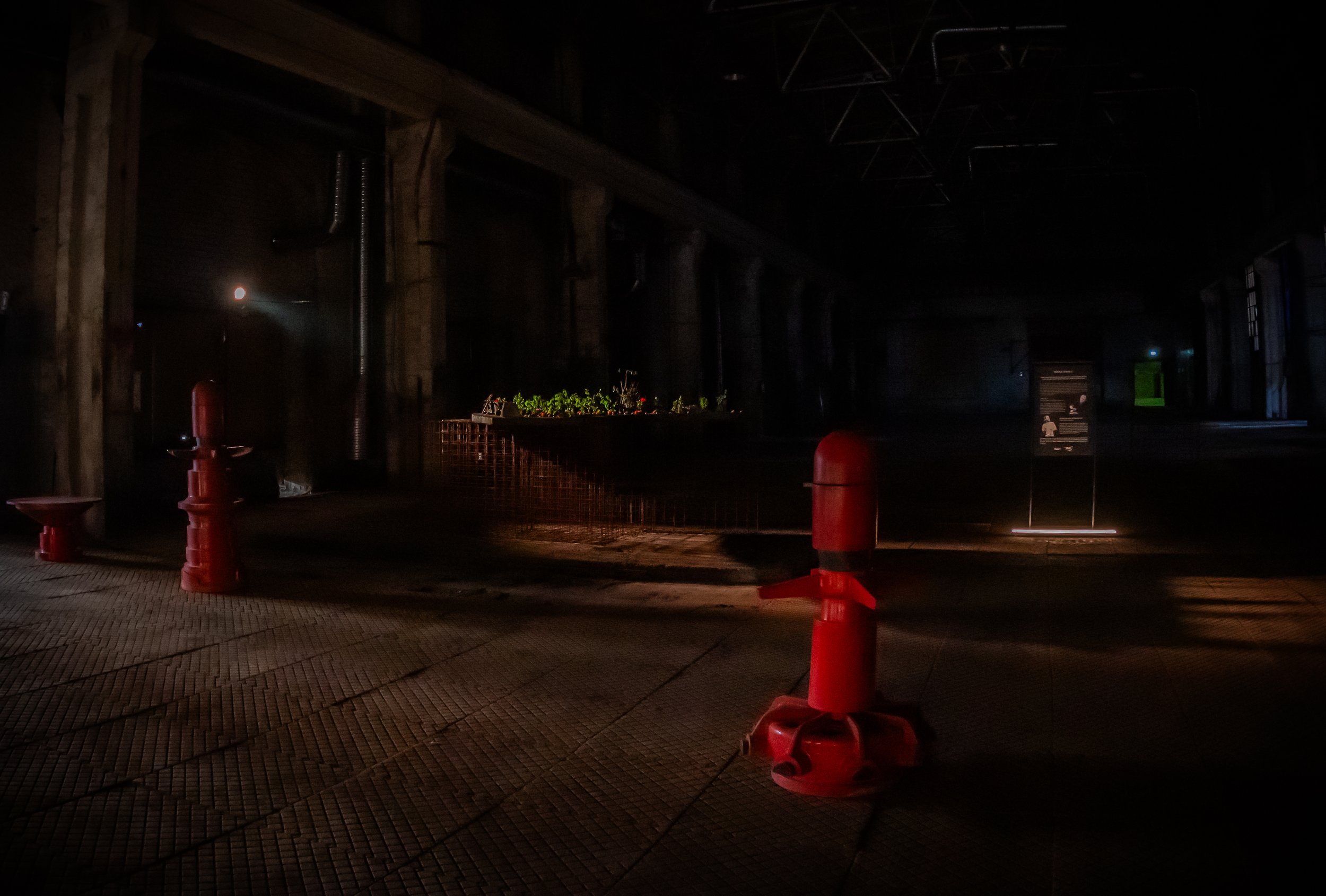 DSC_4727- by Karen Harms.jpg