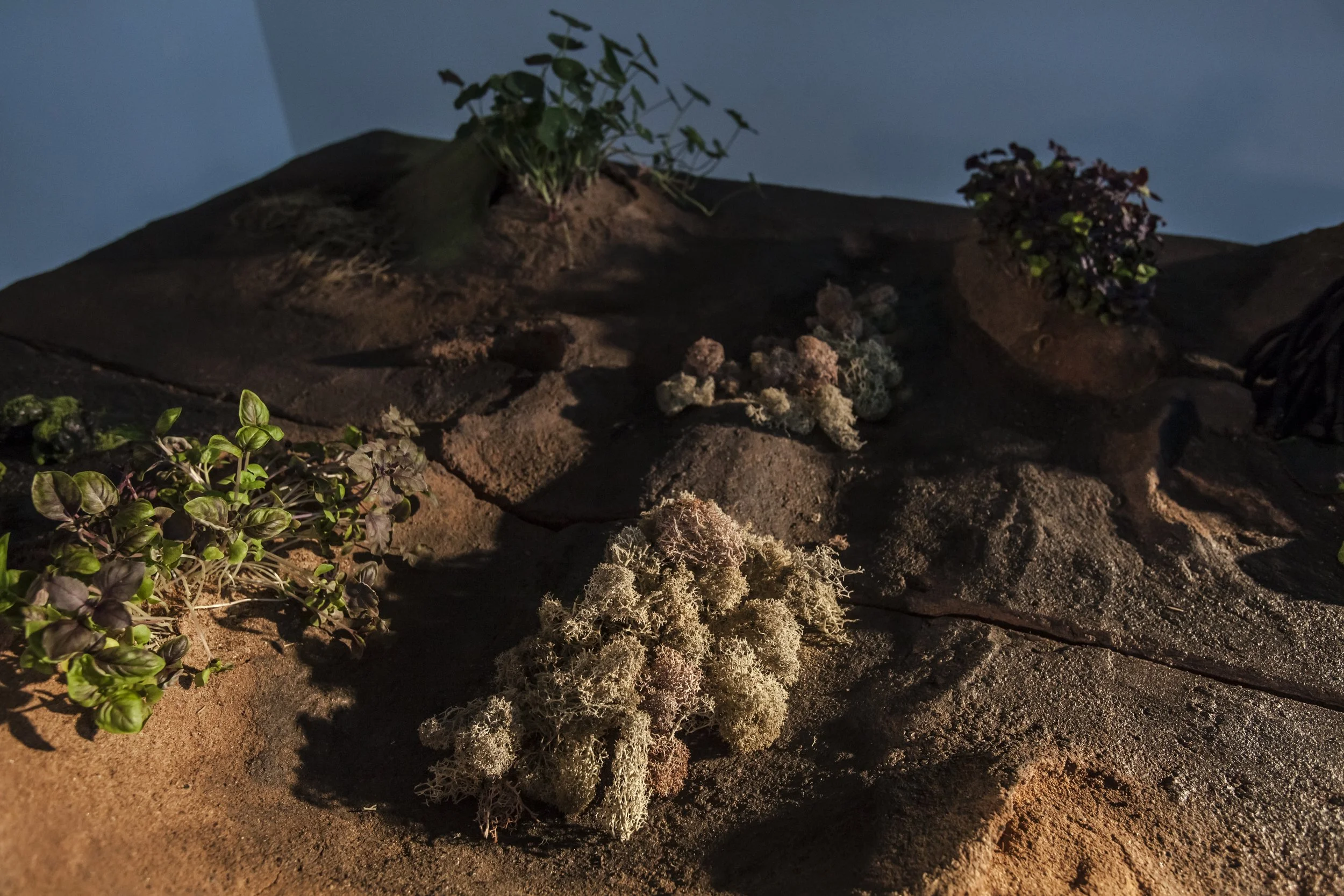 heiterX_august september 2023 photography alana proosa-55.jpg