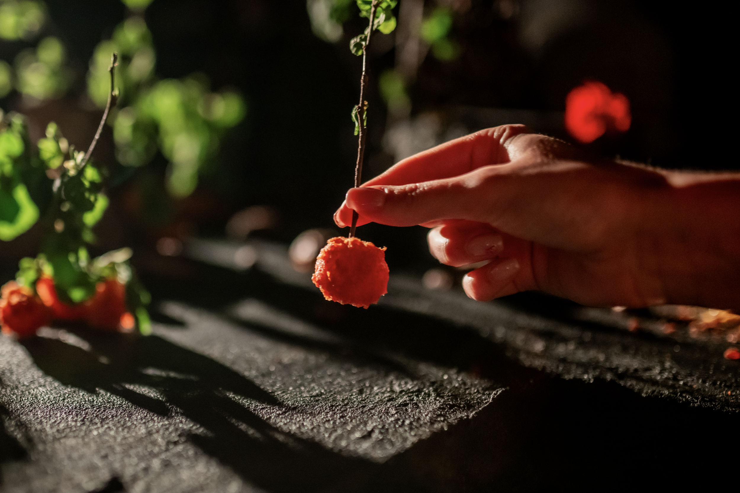 Screenshot 2026-01-21 at 15.35.20.png