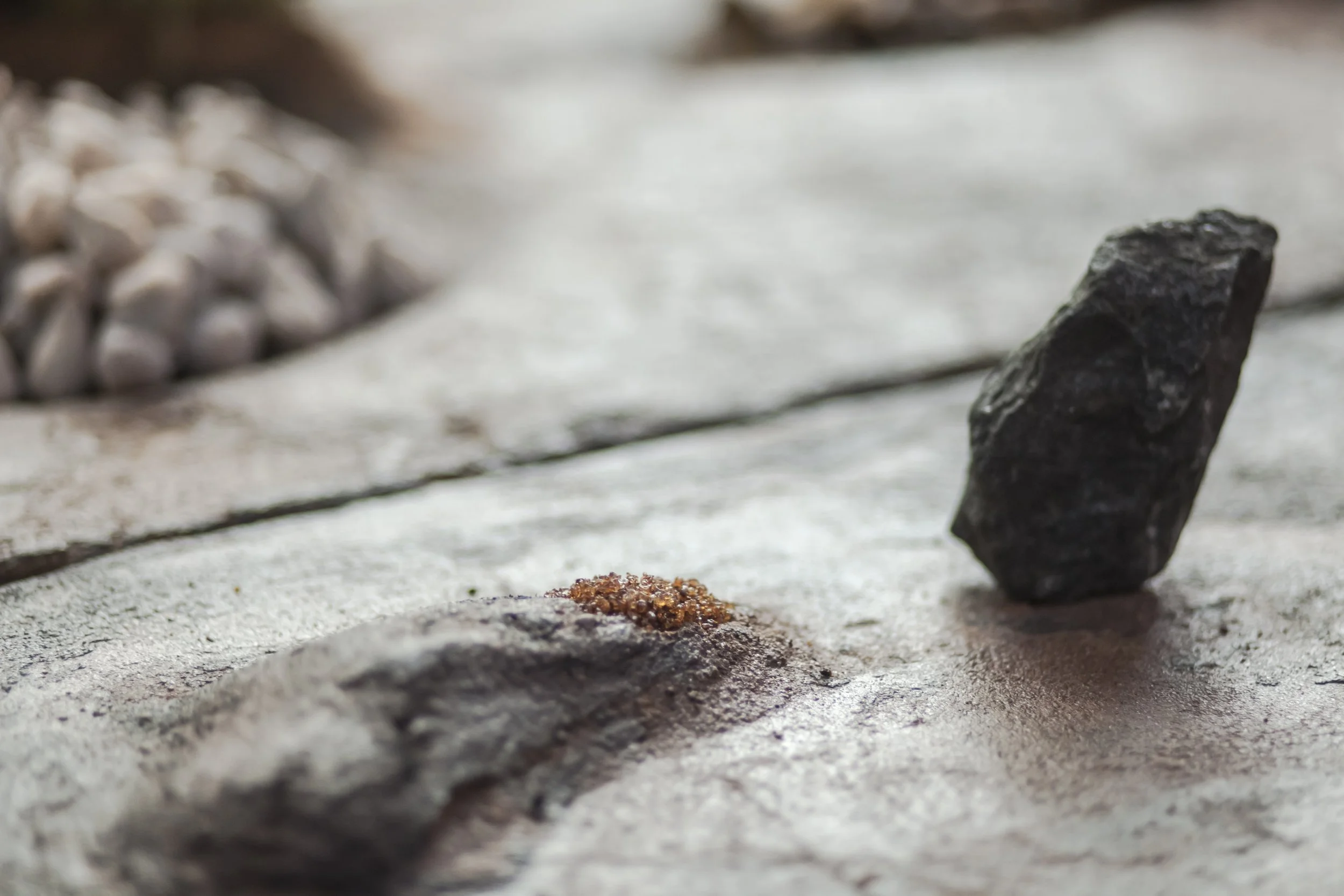 heiter x_08052023_photography alana proosa-90.jpg