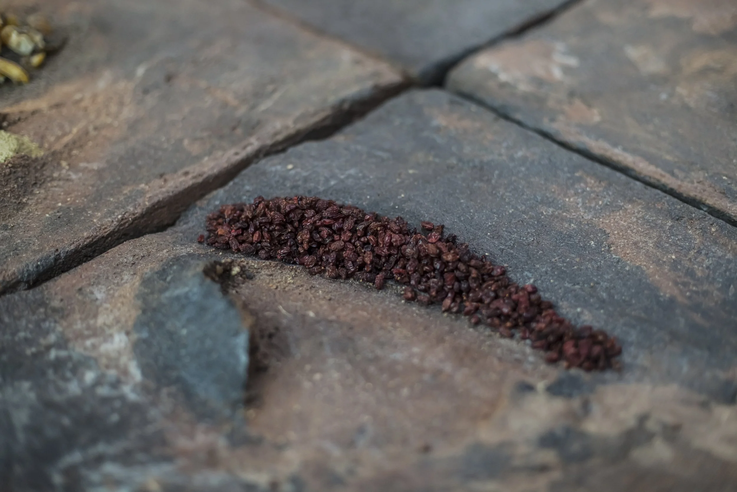 heiter x_08052023_photography alana proosa-117.jpg