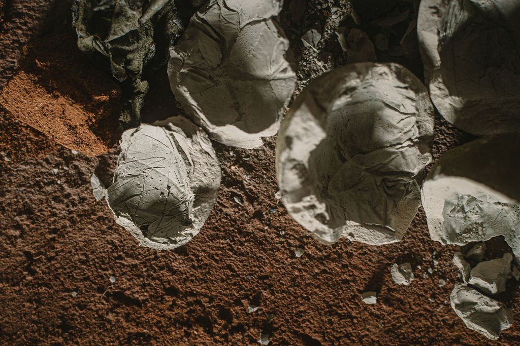Heiter_X-105.jpg