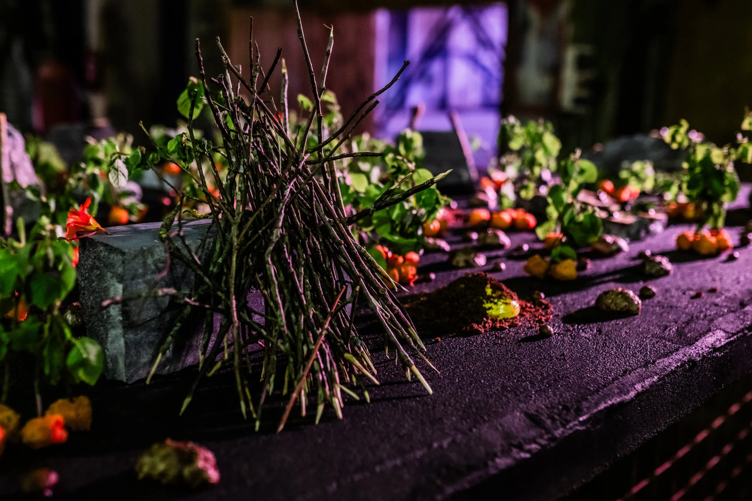 DSC_4269- by Karen Harms.jpg