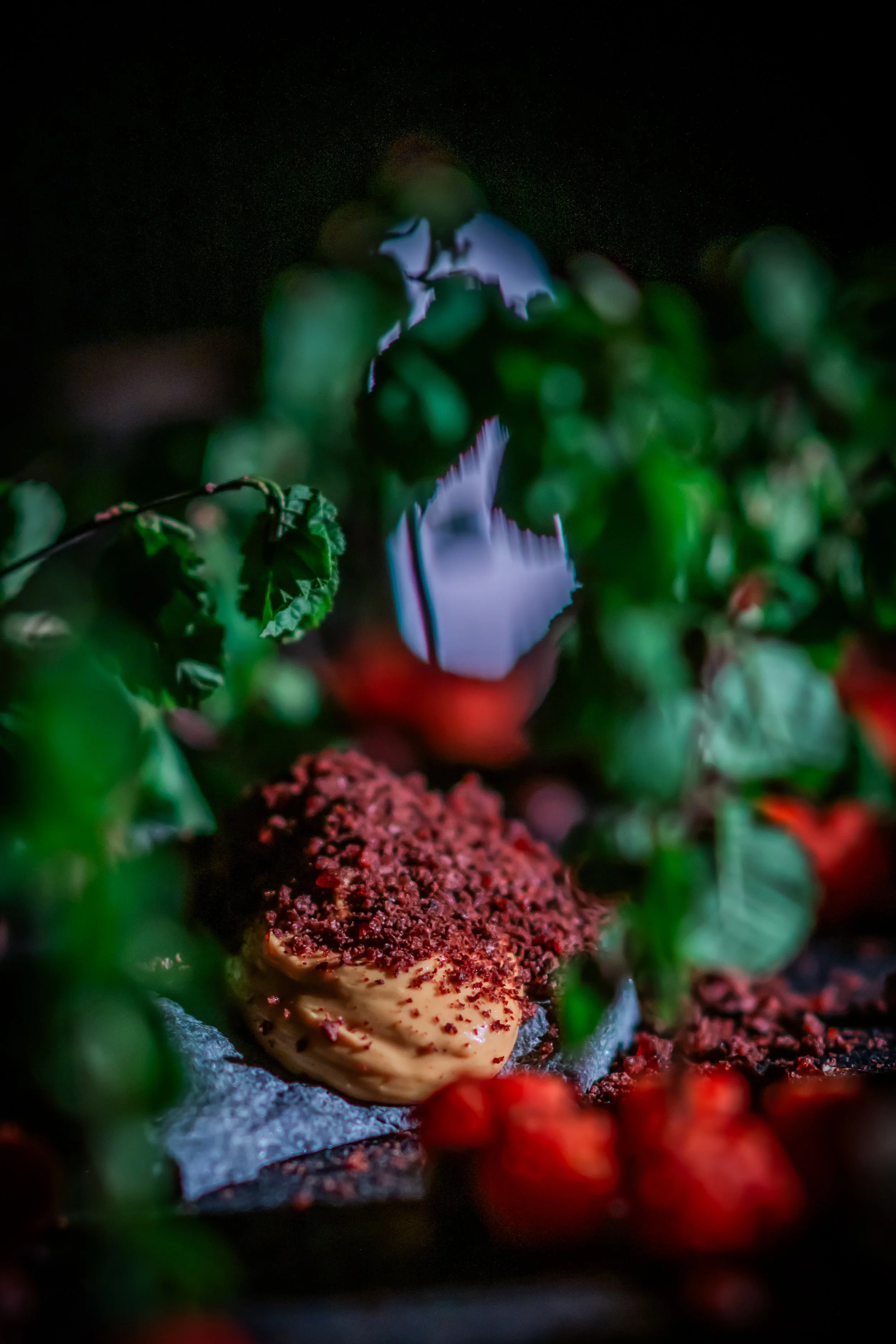 DSC_4580- by Karen Harms.jpg